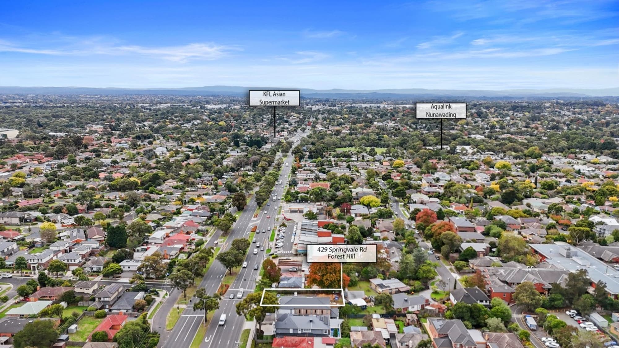 429 Springvale Road, Forest Hill - Thumbnail 7