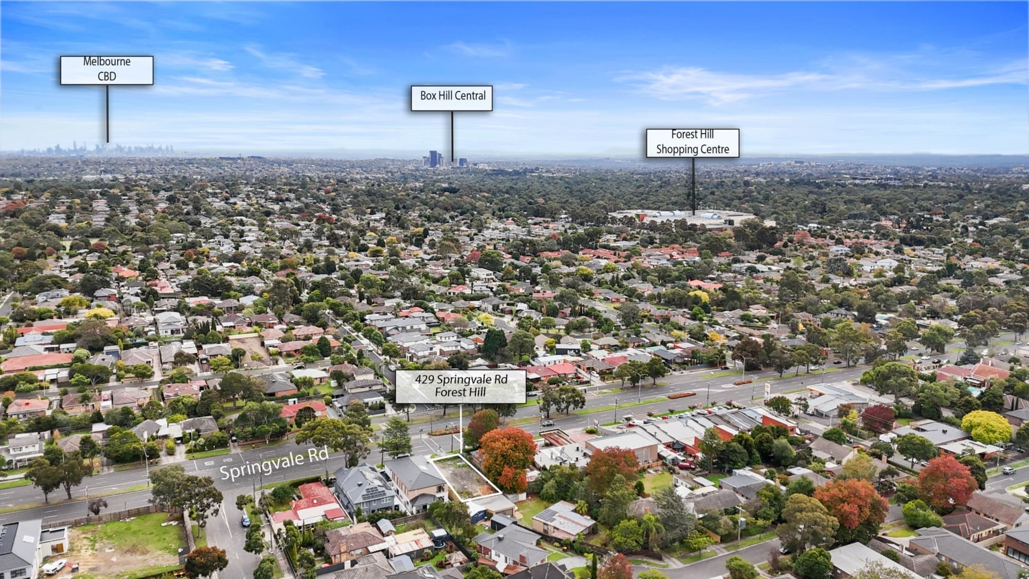 429 Springvale Road, Forest Hill - Thumbnail 3