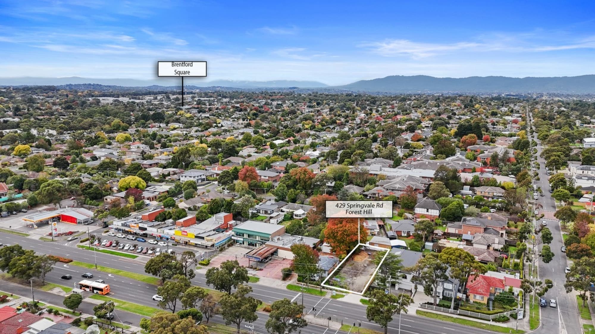 429 Springvale Road, Forest Hill - Thumbnail 5