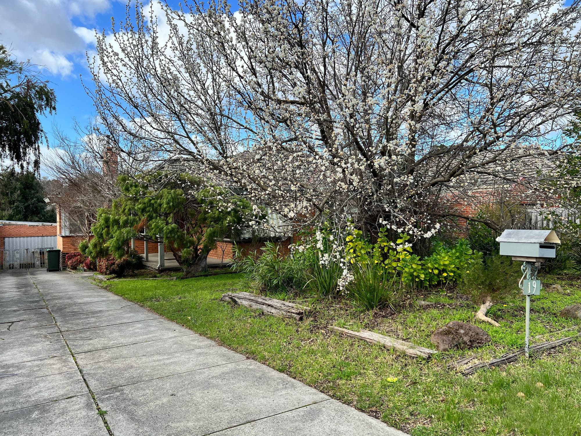 19 Anne Street, Blackburn North - Thumbnail 8