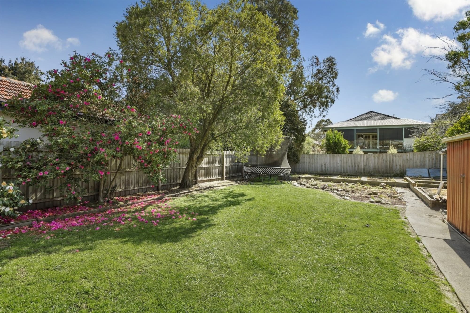 5 Halsey Street, Box Hill South - Thumbnail 6