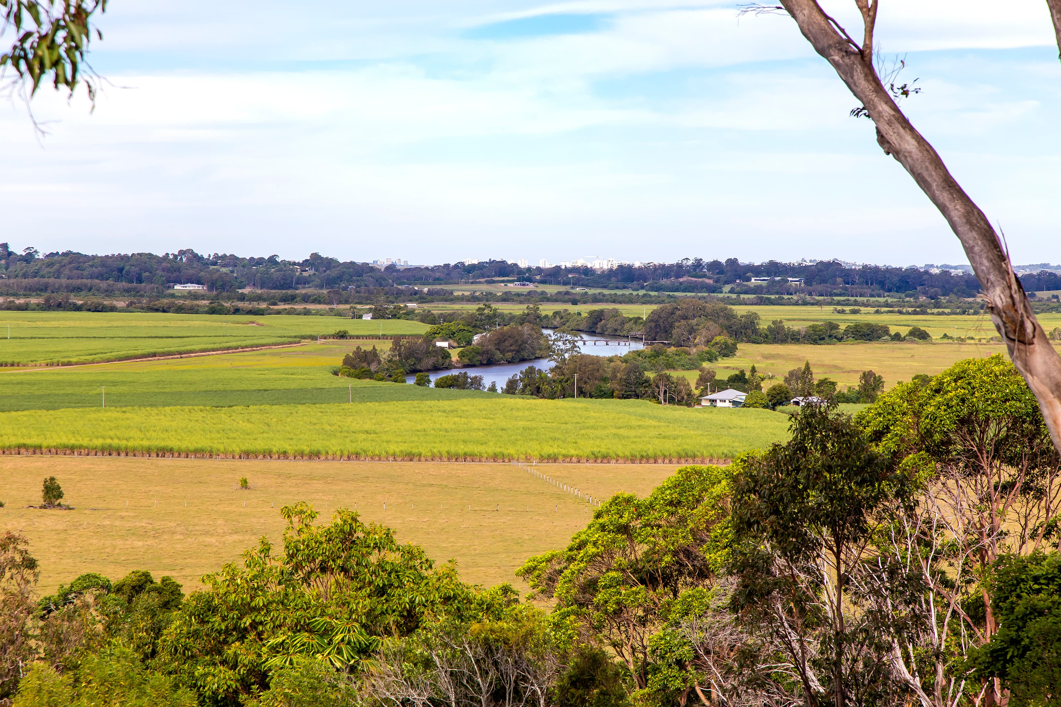 24 Valdora Road, Maroochy River, Maroochy River - Thumbnail 4