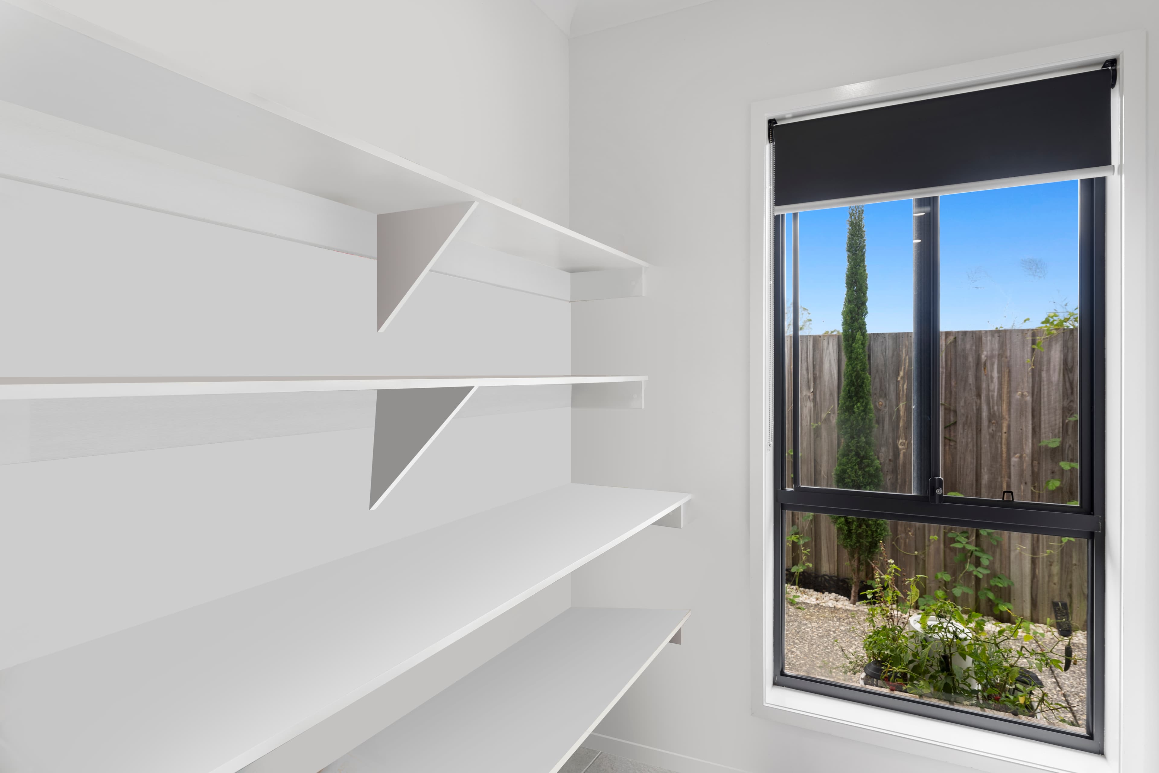 3 McPherson Street, Thornlands, Thornlands - Thumbnail 7