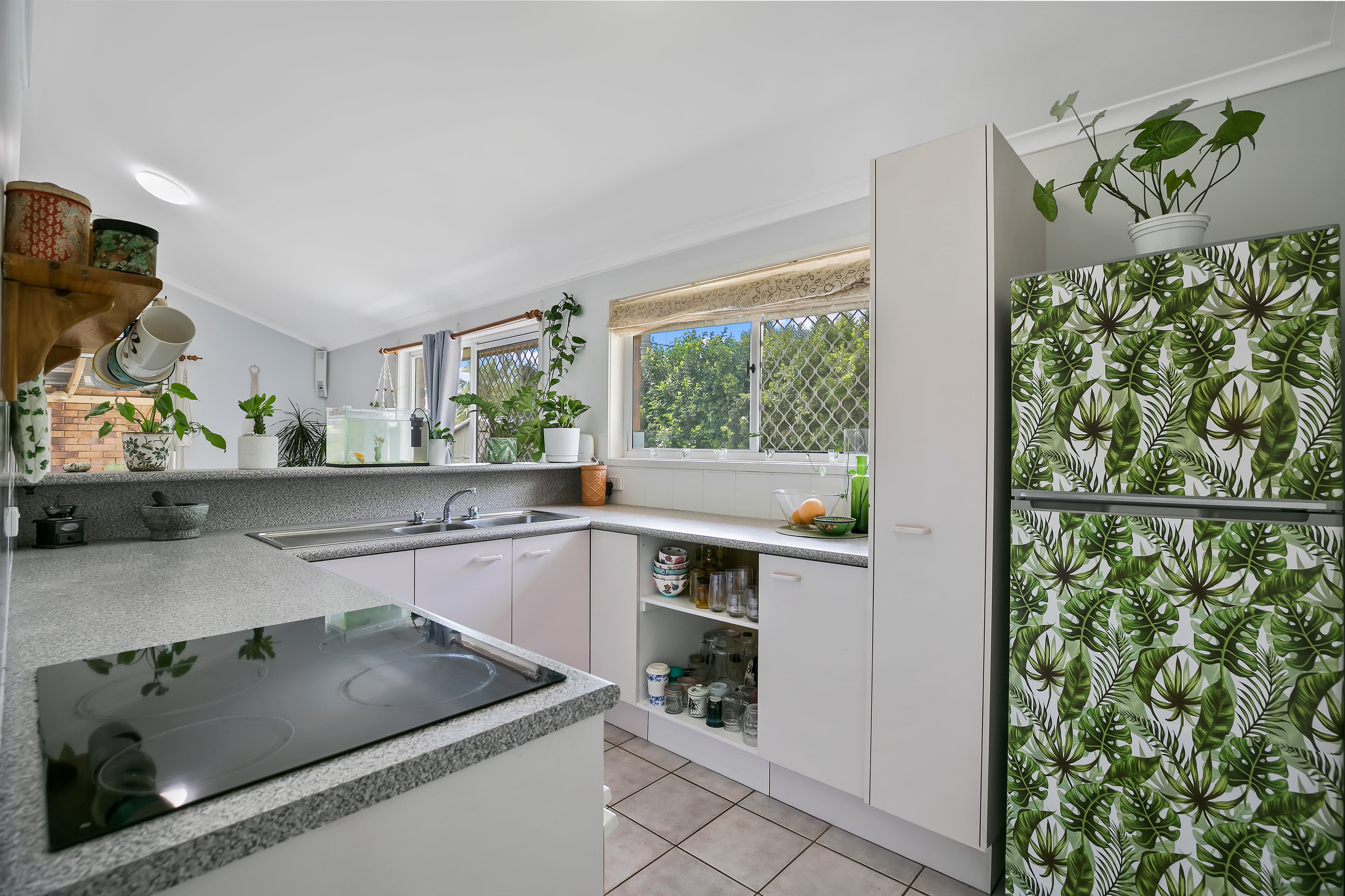 14 Simridge Court, Bli Bli, Bli Bli - Thumbnail 4