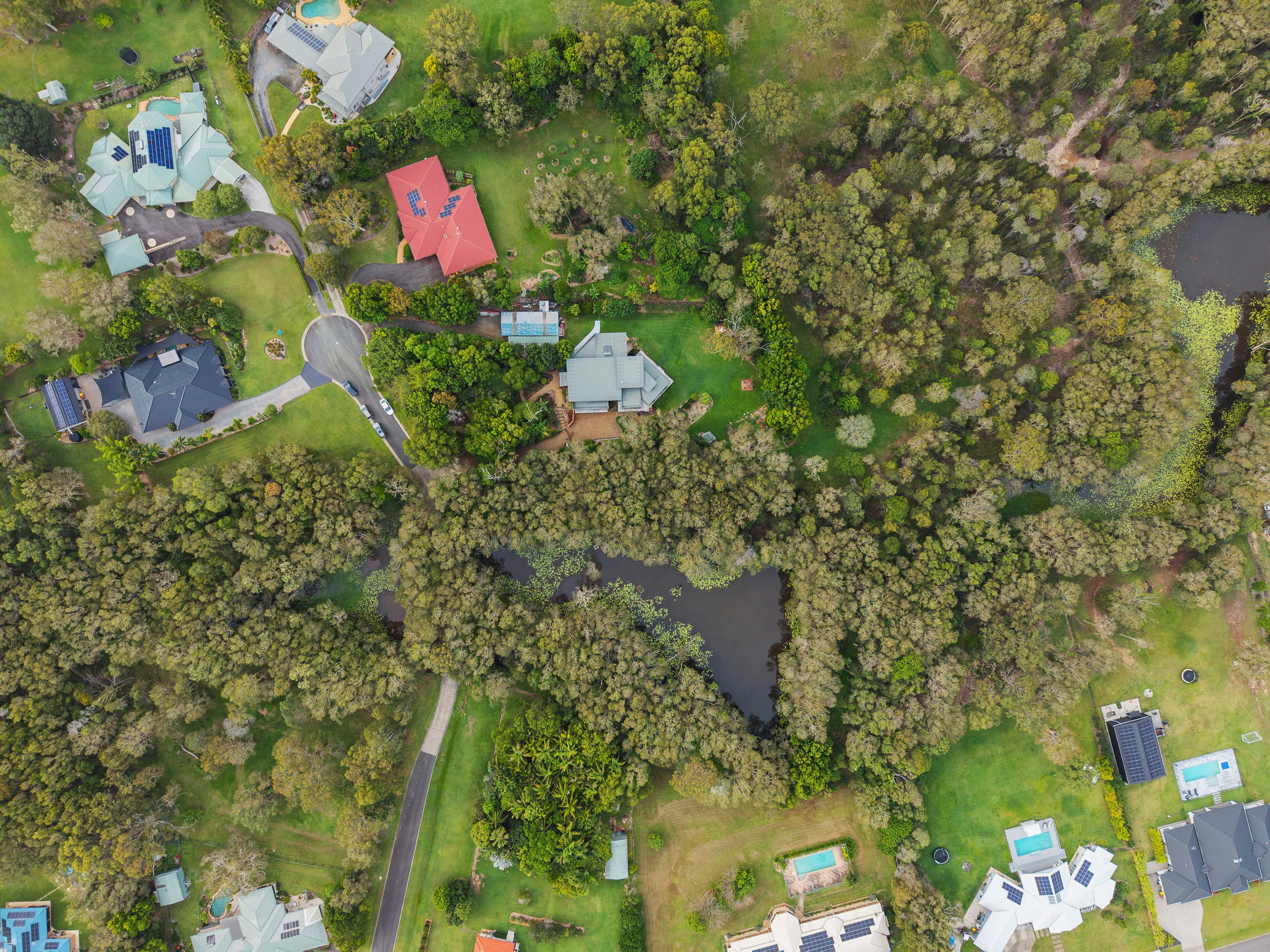 11 Wisbech Place, Thornlands, Thornlands - Thumbnail 4