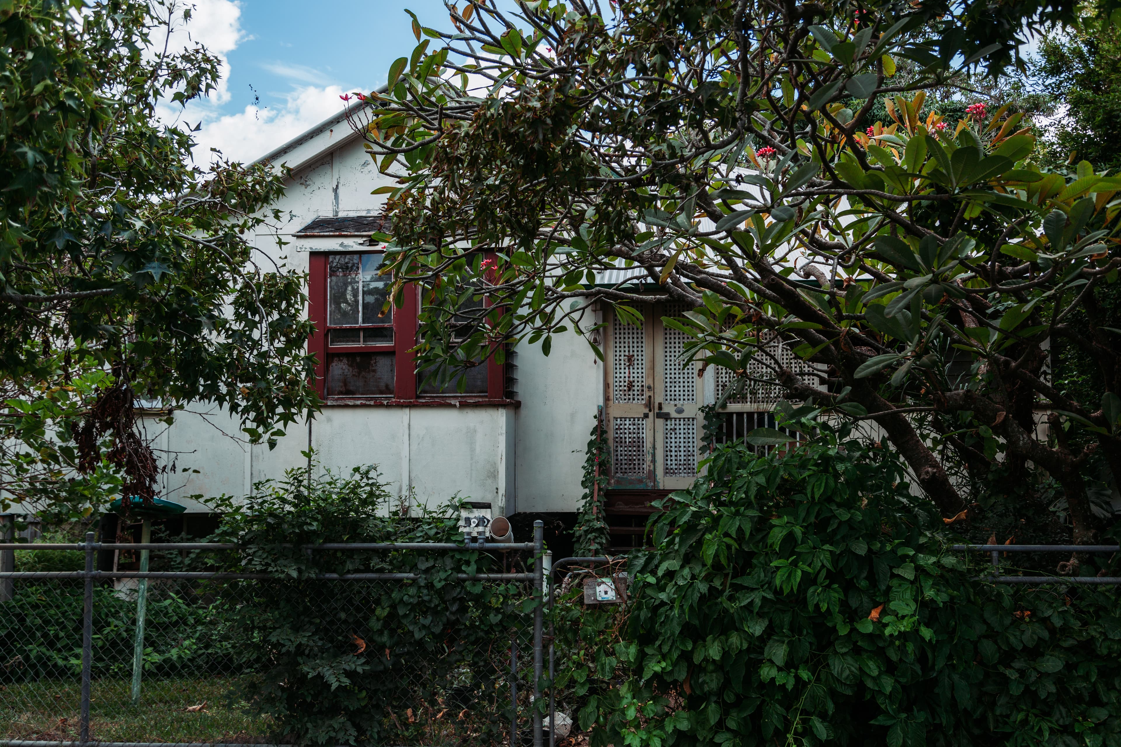 99 Walnut Street, Wynnum, Wynnum - Thumbnail 3