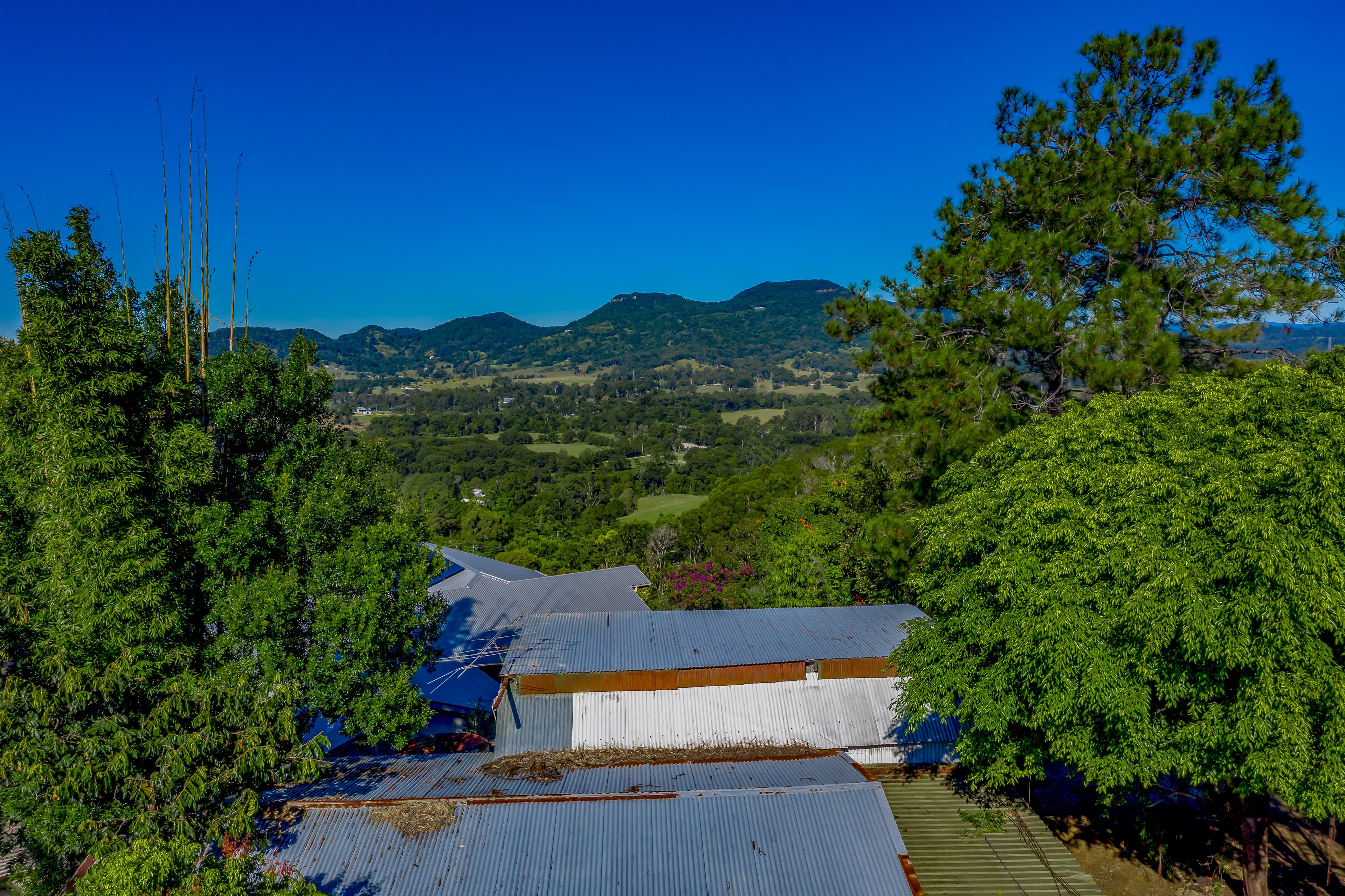 476-494 Eumundi Range Road, Eumundi, Eumundi - Thumbnail 4