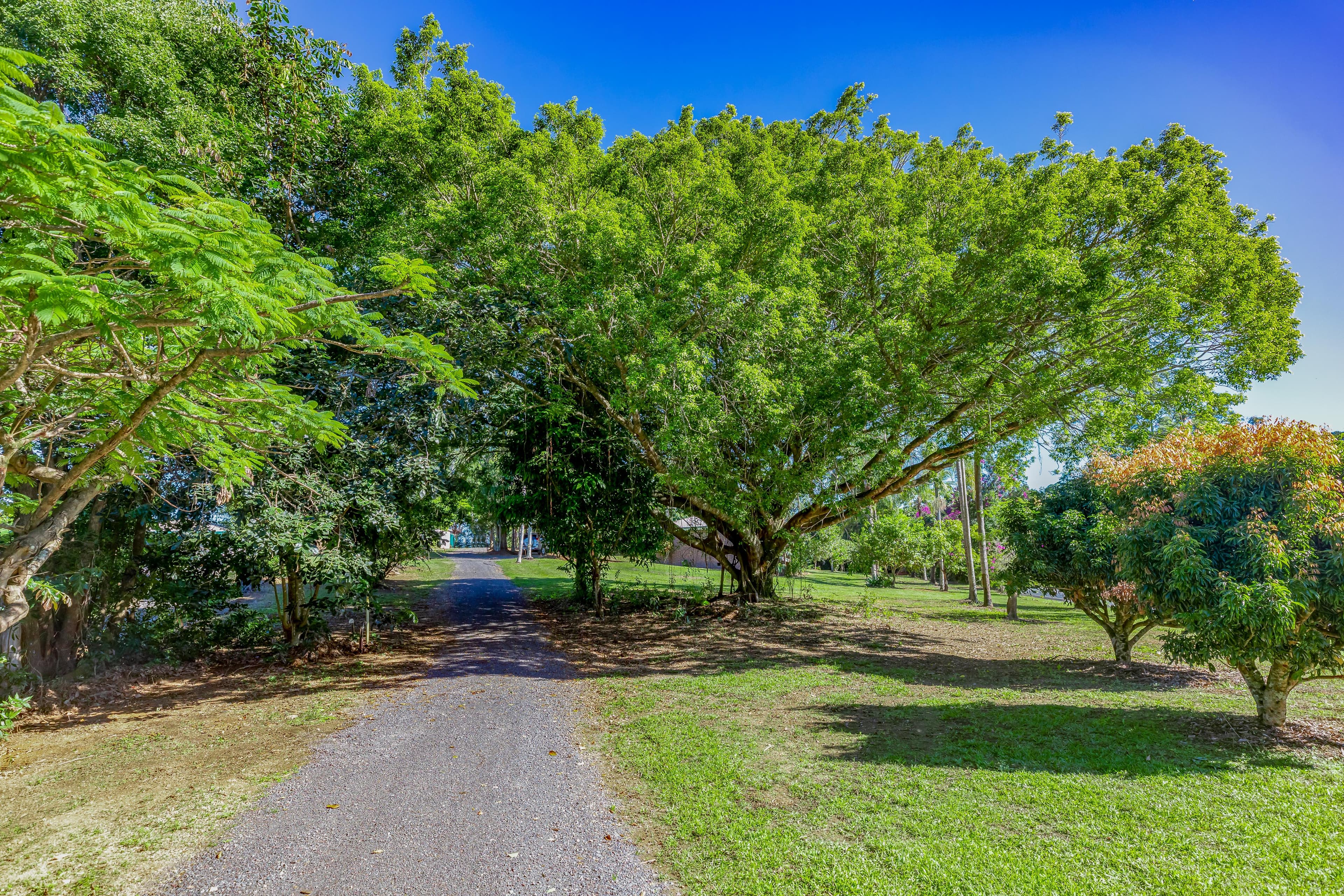 476-494 Eumundi Range Road, Eumundi, Eumundi - Thumbnail 7