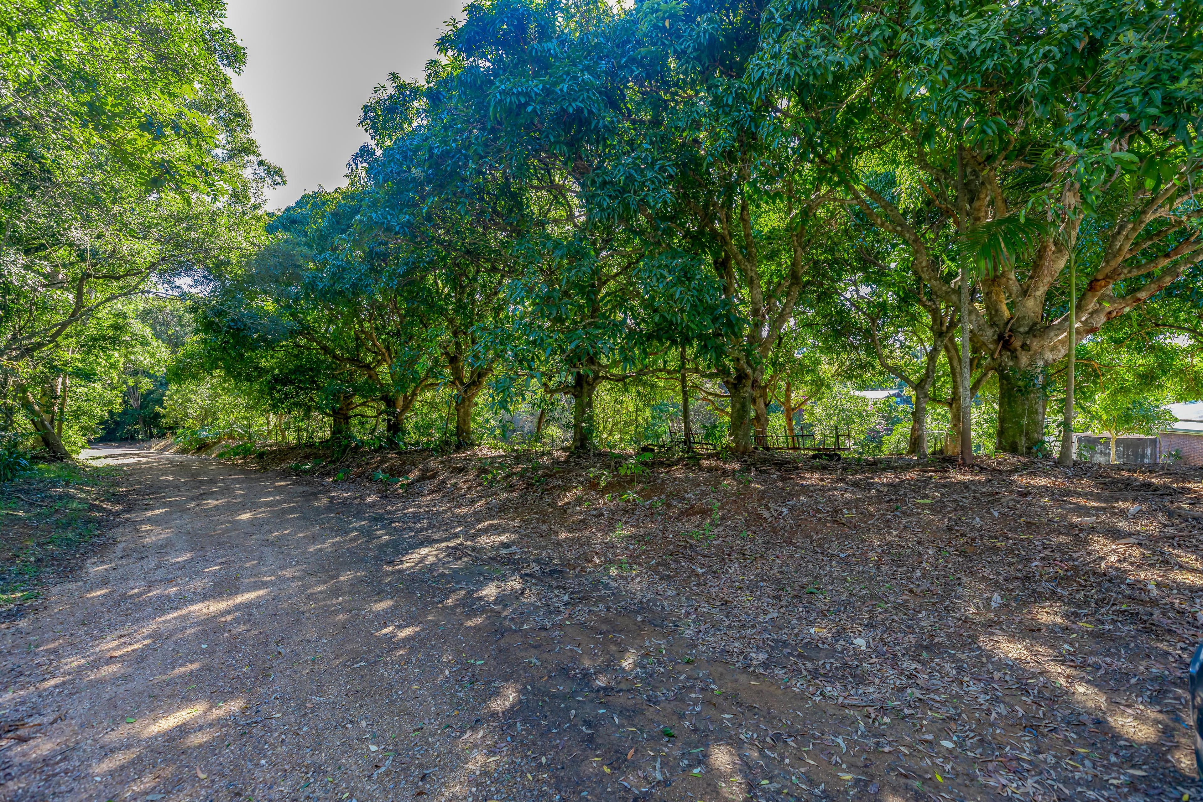 476-494 Eumundi Range Road, Eumundi, Eumundi - Thumbnail 8