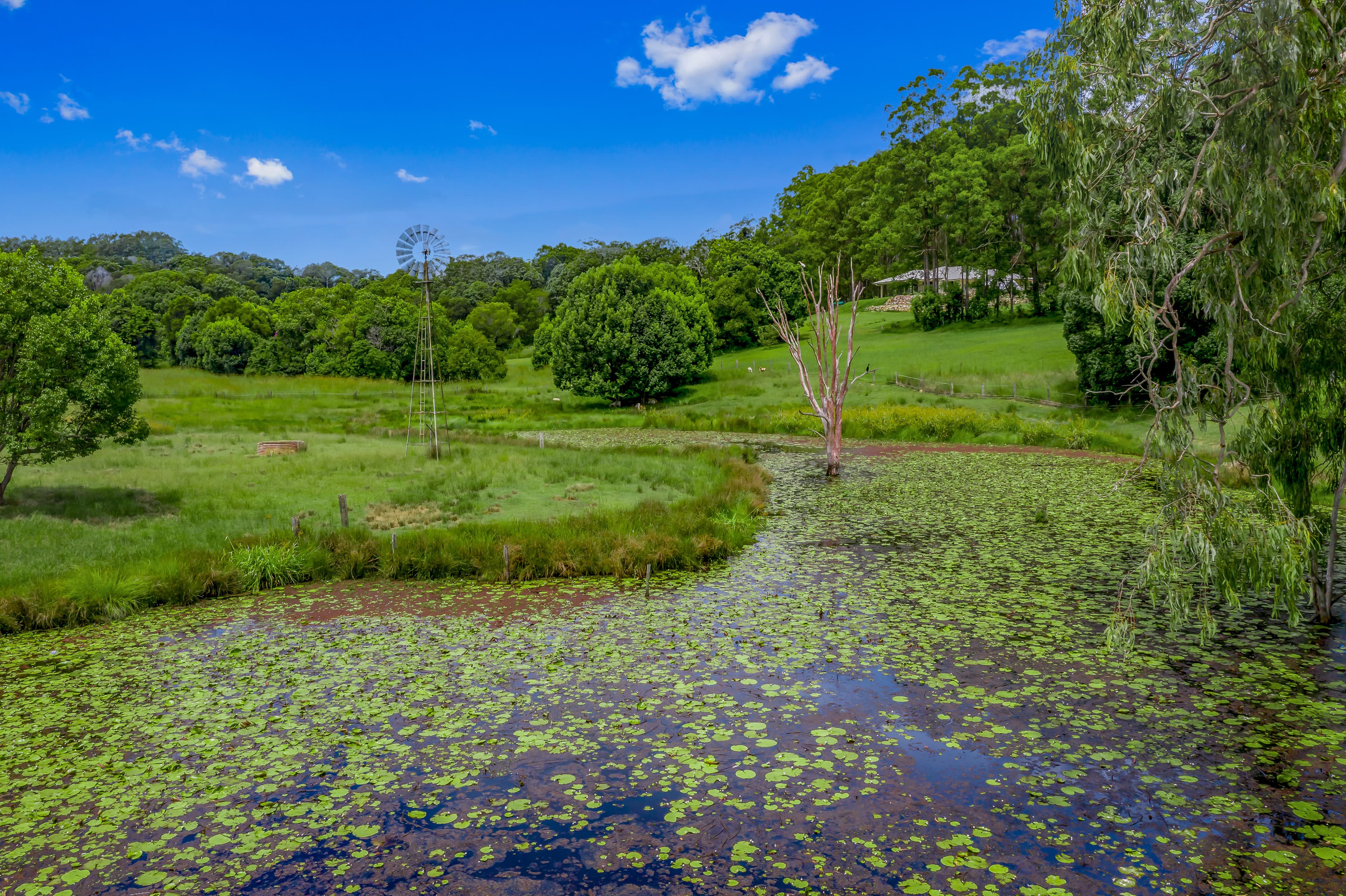 94 Tablelands Road, Cooran, Cooran - Thumbnail 7