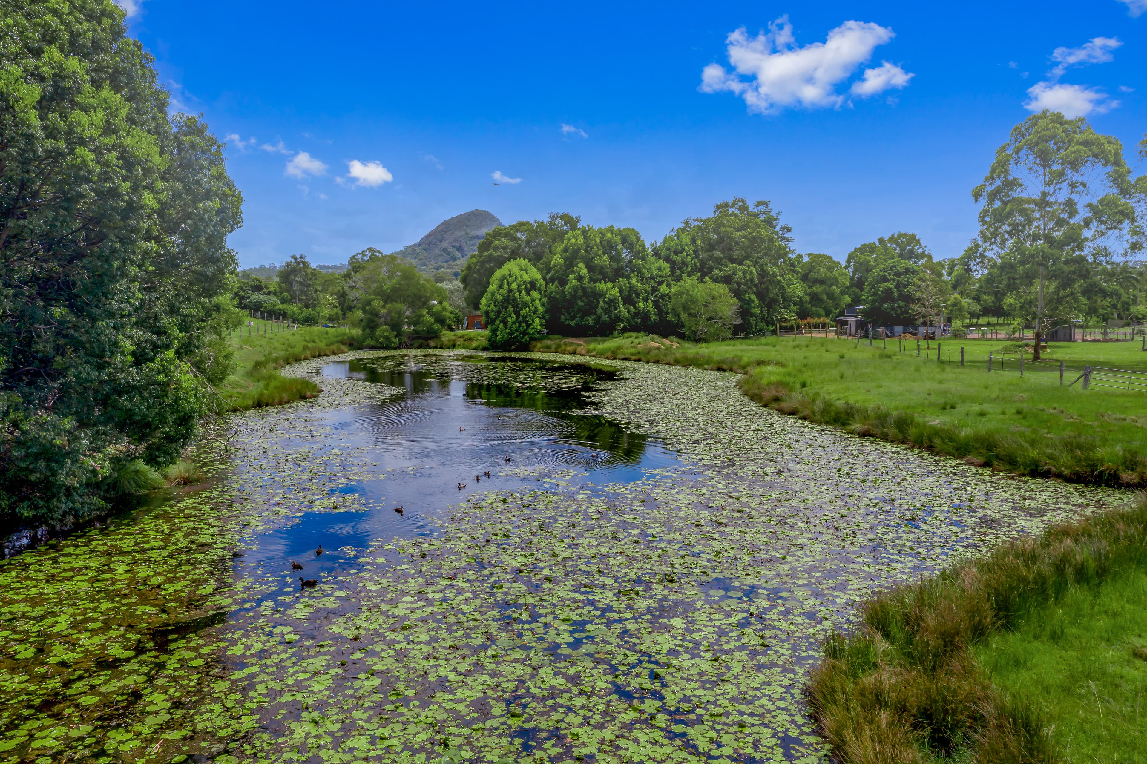 94 Tablelands Road, Cooran, Cooran - Thumbnail 8