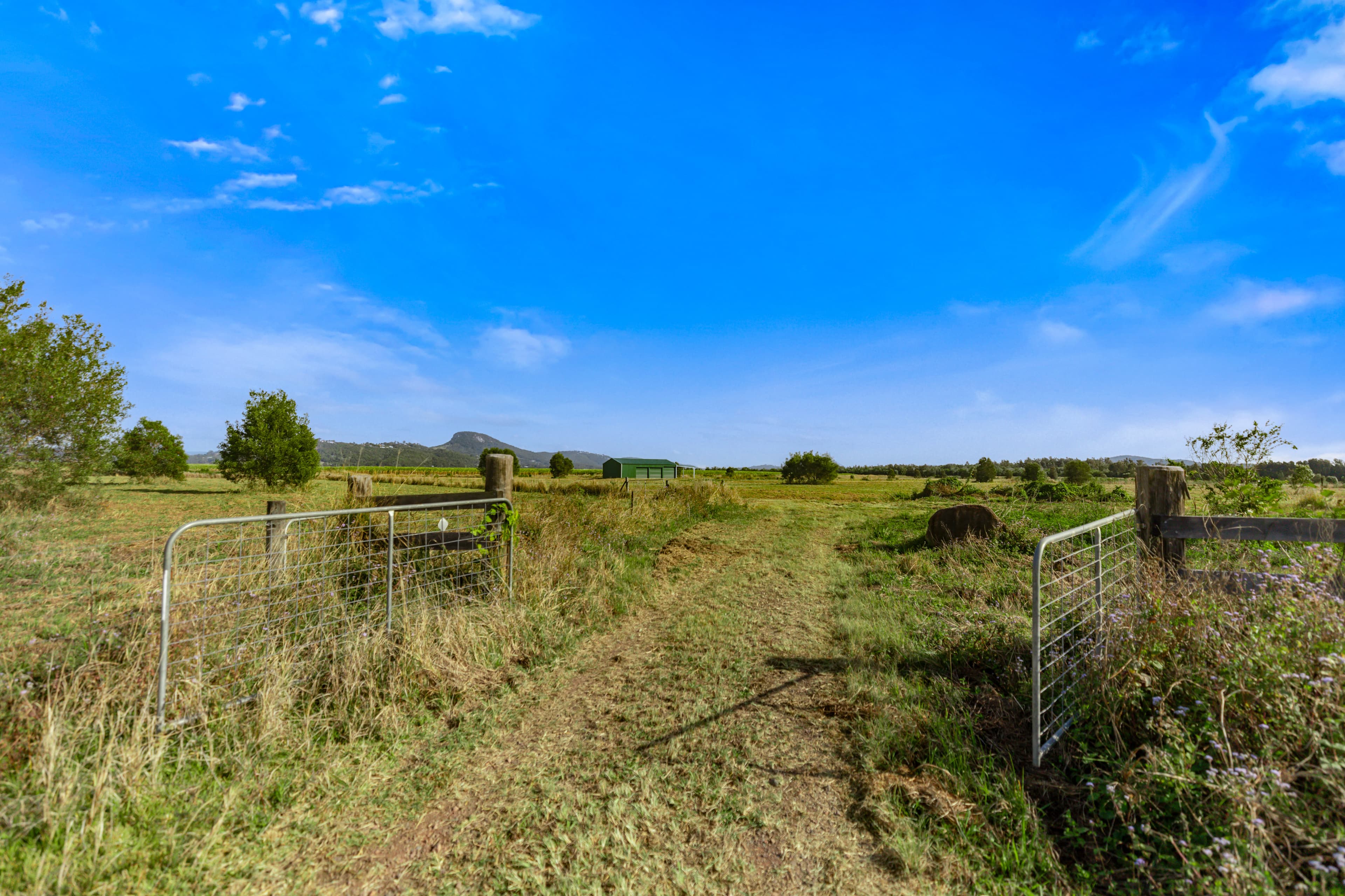215 River Road, Maroochy River, Maroochy River - Image 1