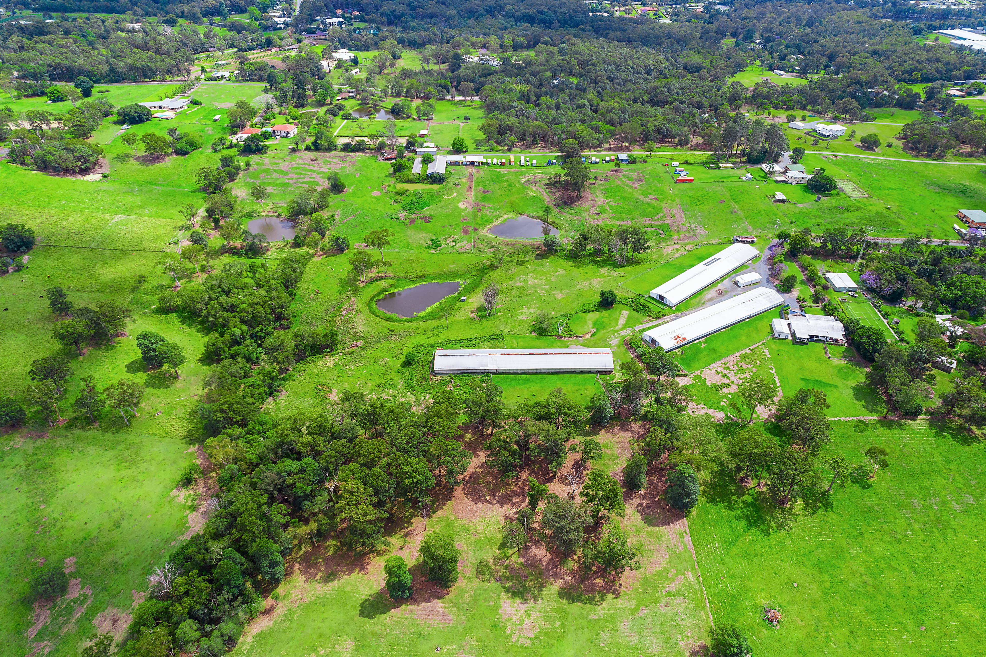 107 Springacre Road, Thornlands, Thornlands - Thumbnail 4