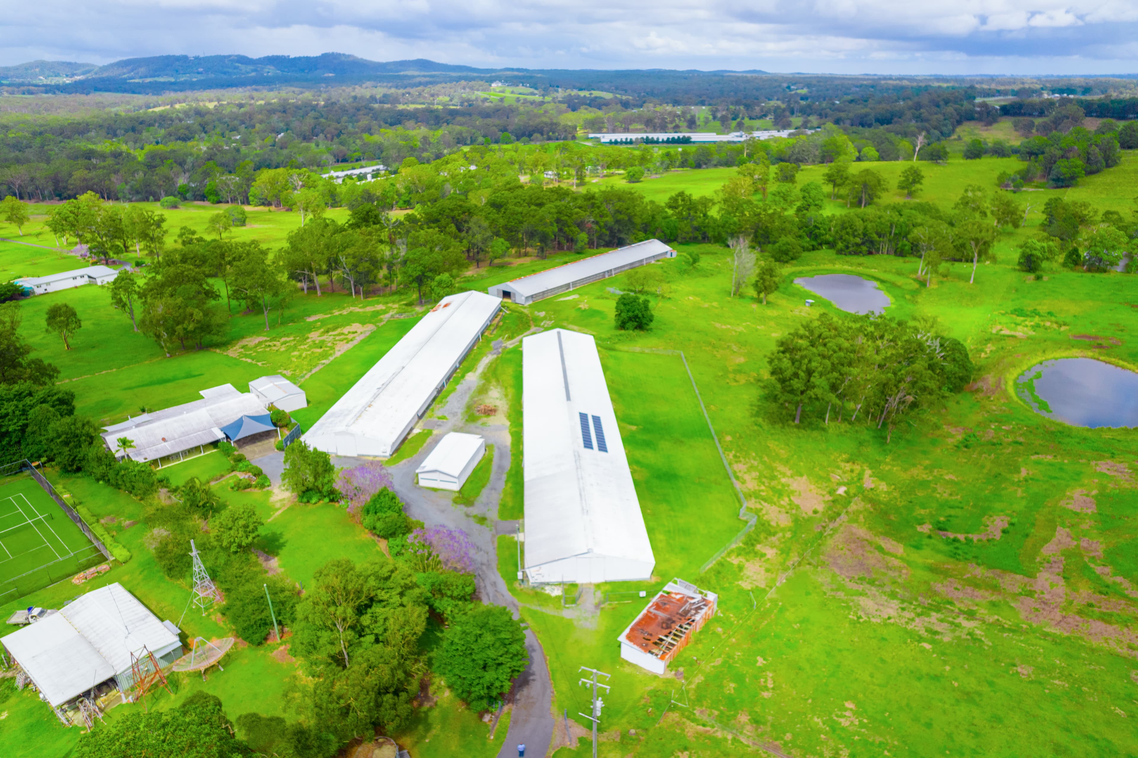 107 Springacre Road, Thornlands, Thornlands - Thumbnail 5
