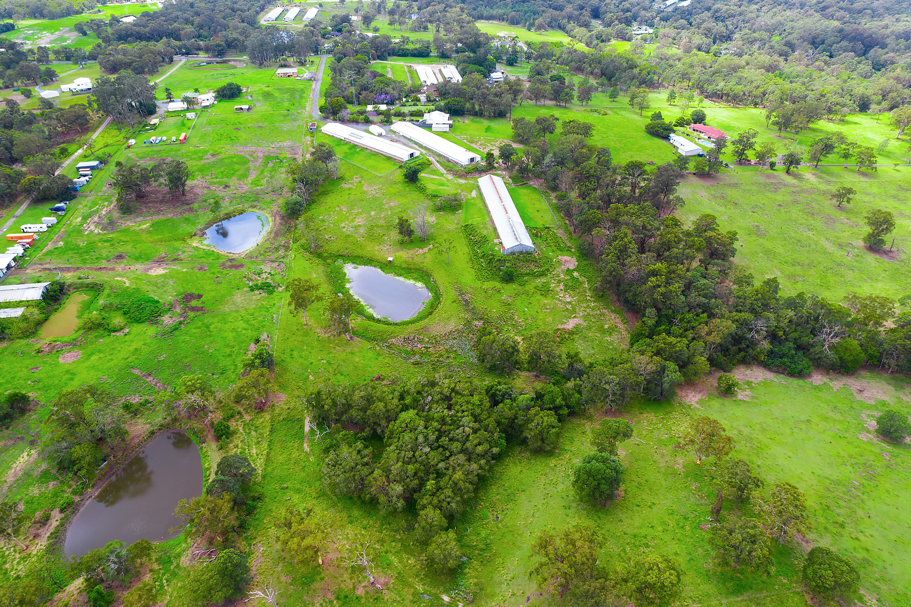 107 Springacre Road, Thornlands, Thornlands - Thumbnail 7