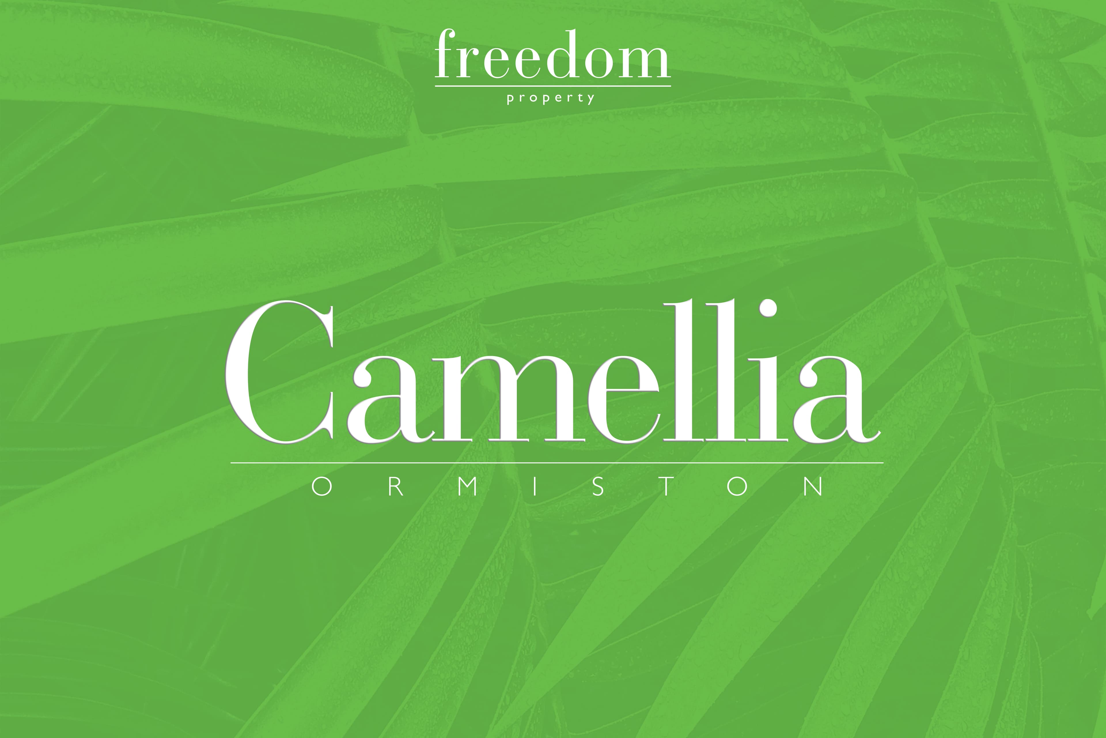 Lot 2/31-33 Beckwith Street, Ormiston, Ormiston - Thumbnail 4