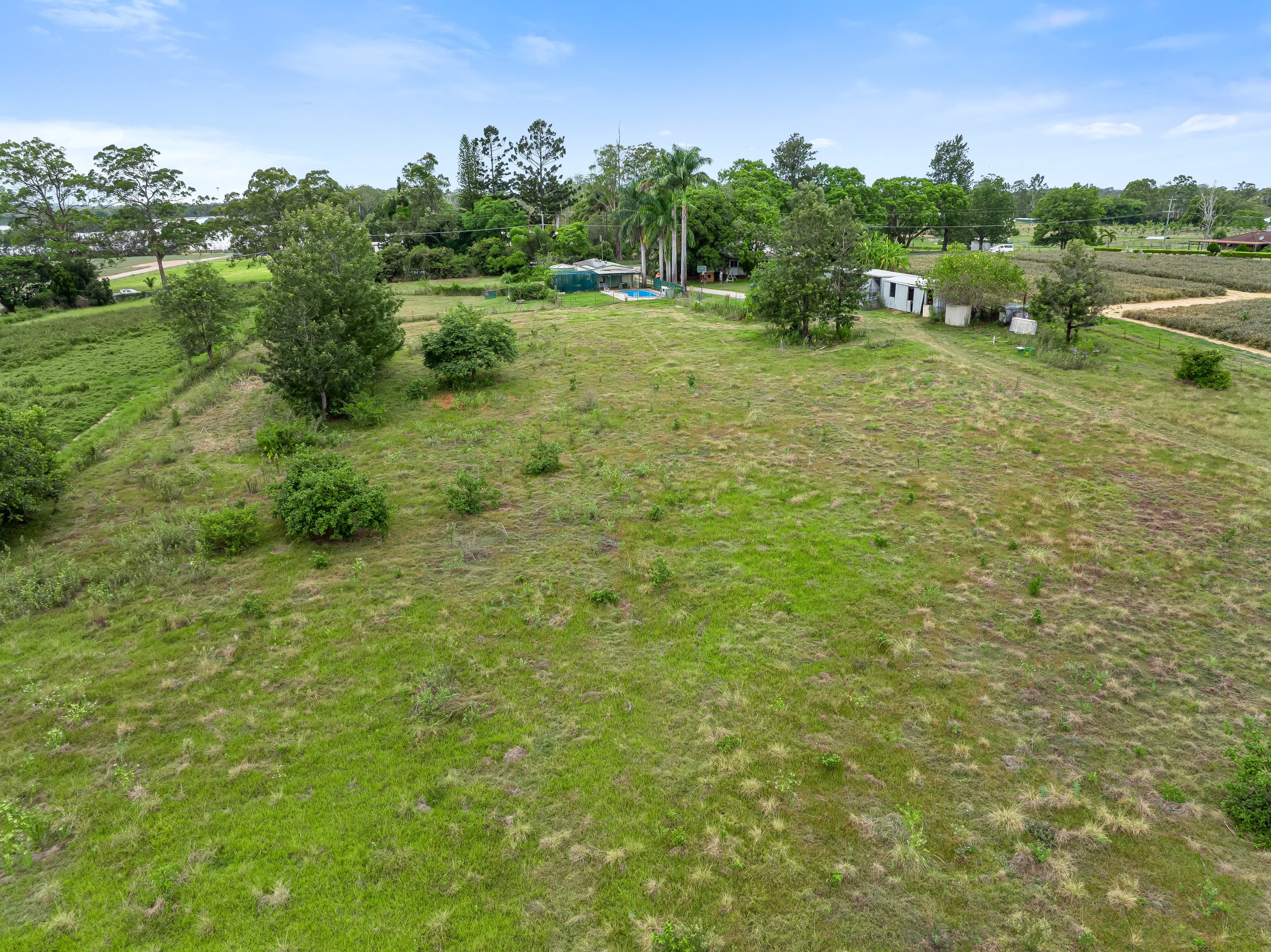 99 Newlands Road, Wamuran, Wamuran - Thumbnail 5