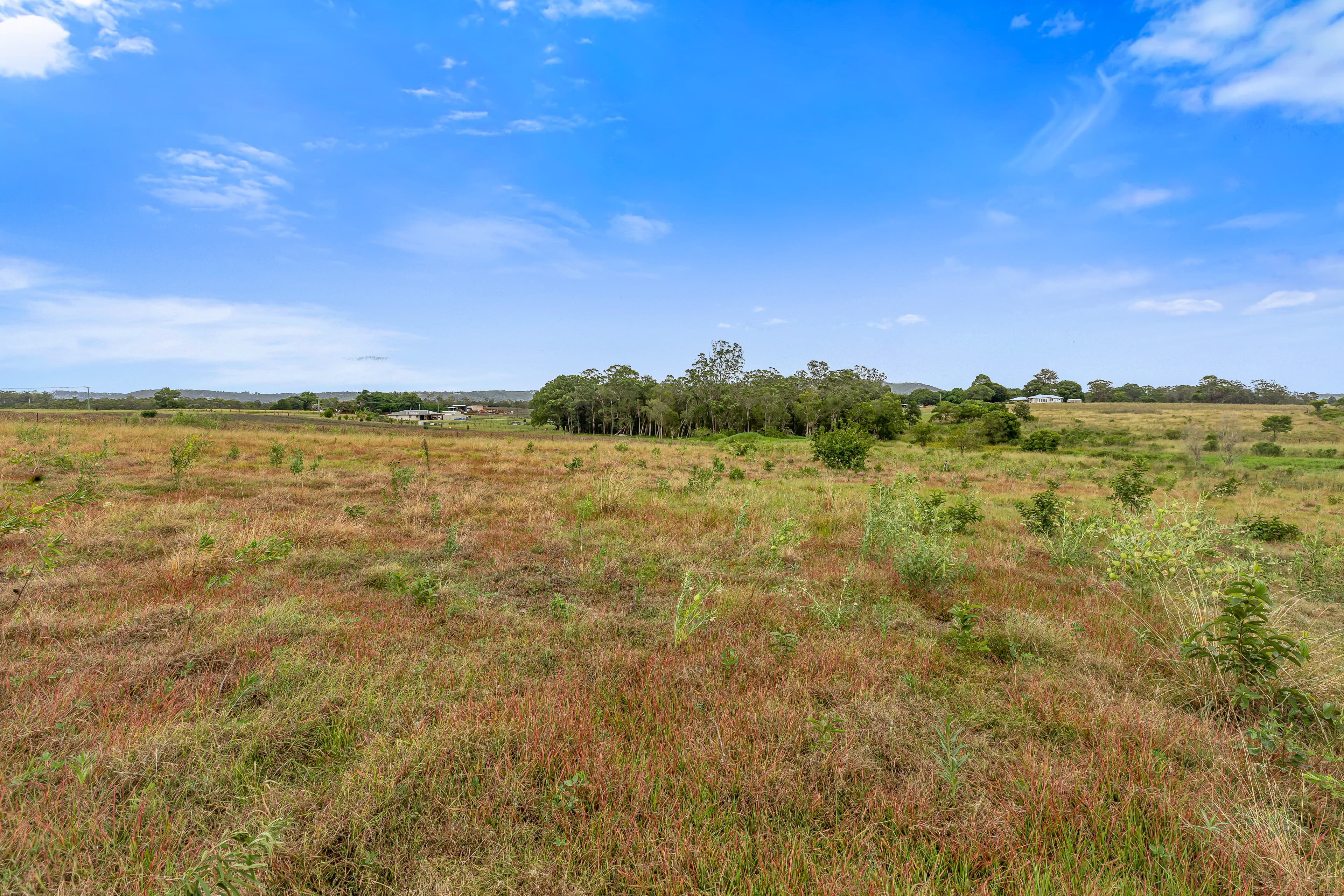 99 Newlands Road, Wamuran, Wamuran - Thumbnail 6