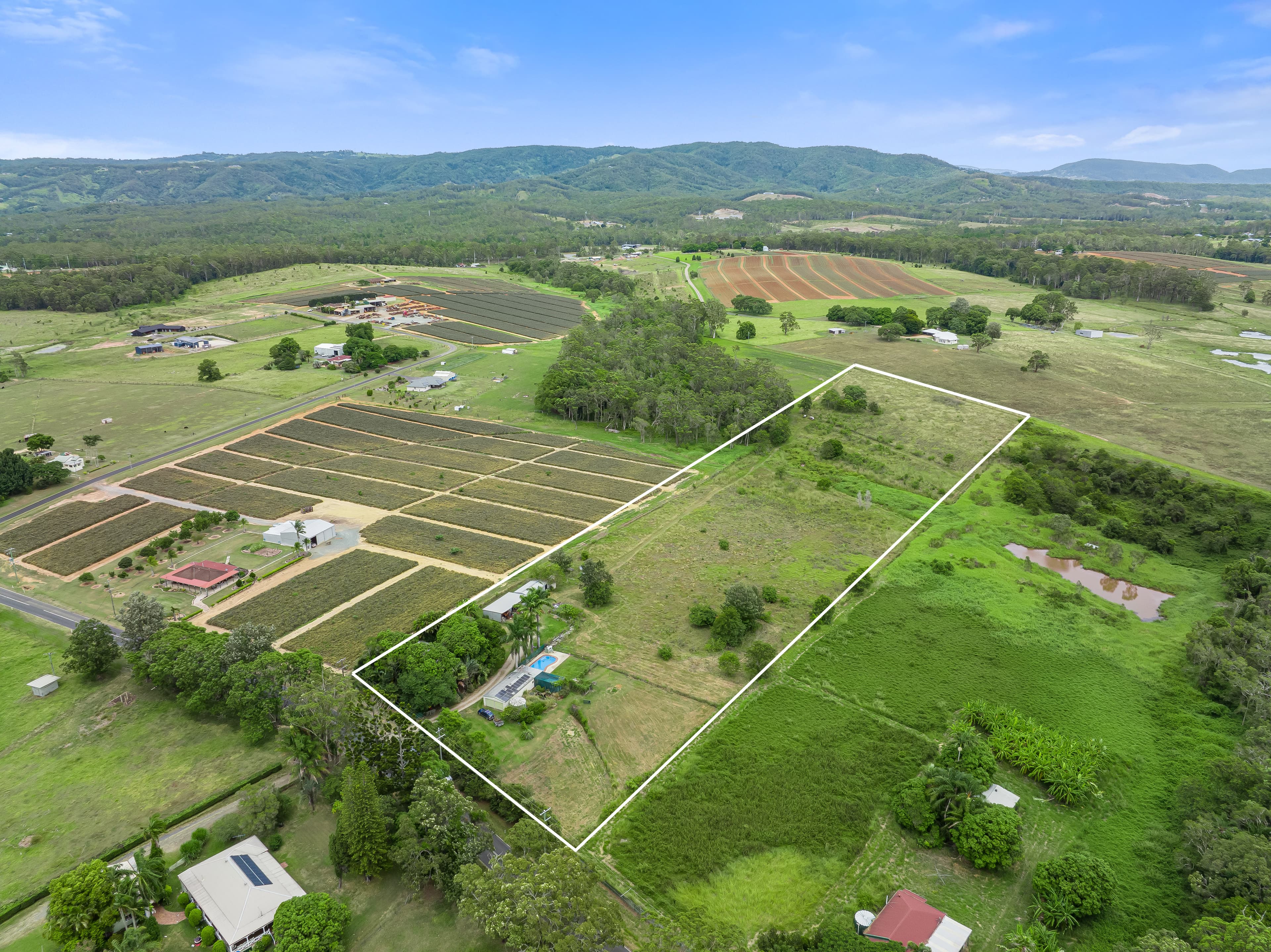 99 Newlands Road, Wamuran, Wamuran - Thumbnail 2