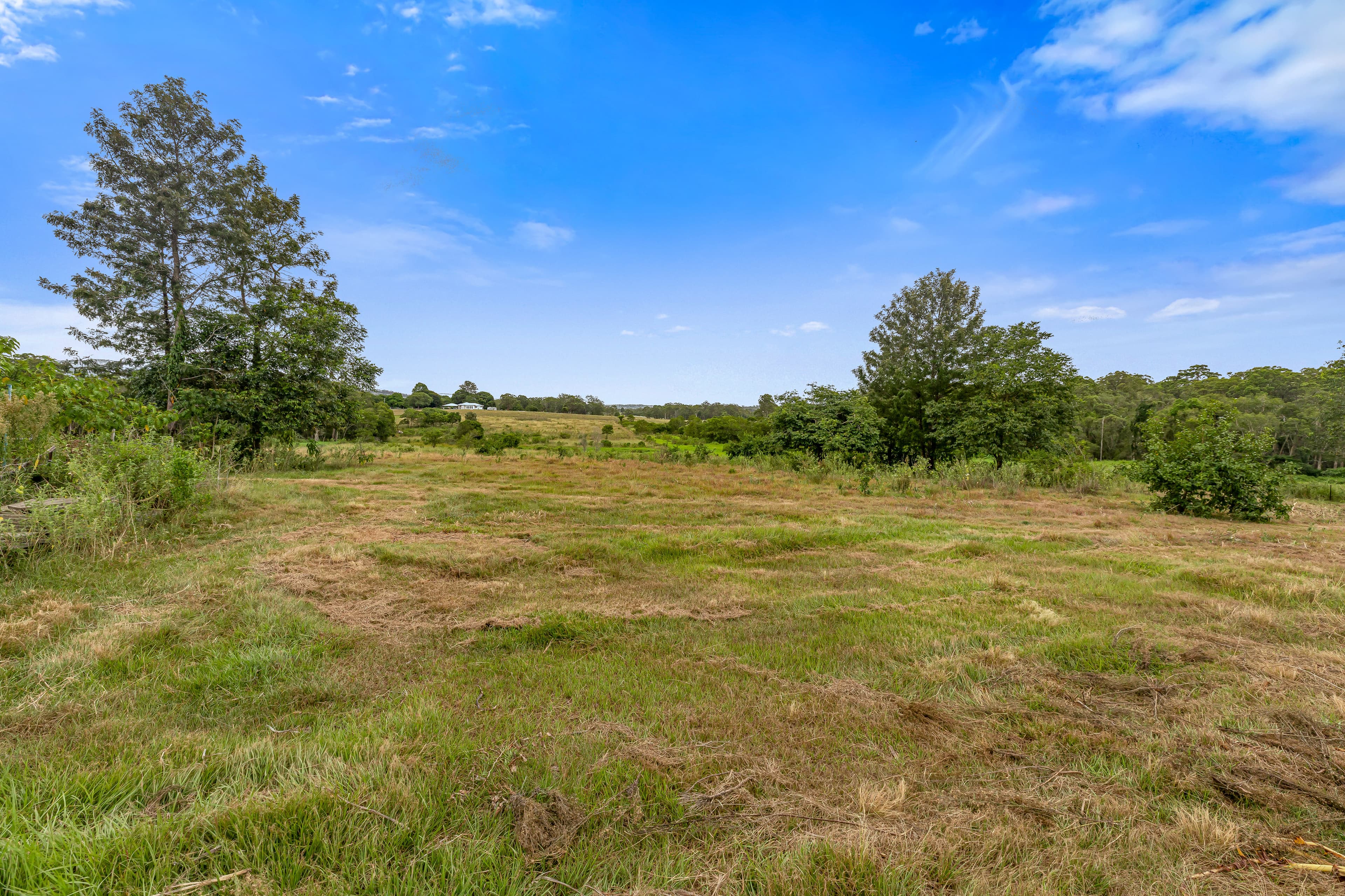 99 Newlands Road, Wamuran, Wamuran - Thumbnail 7