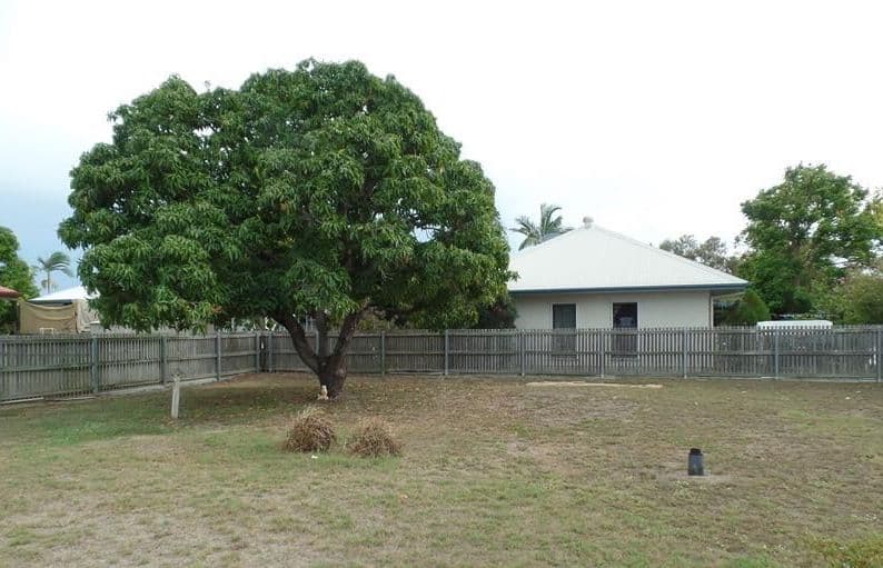 26 Lonerganne Street, Garbutt, Garbutt - Thumbnail 6