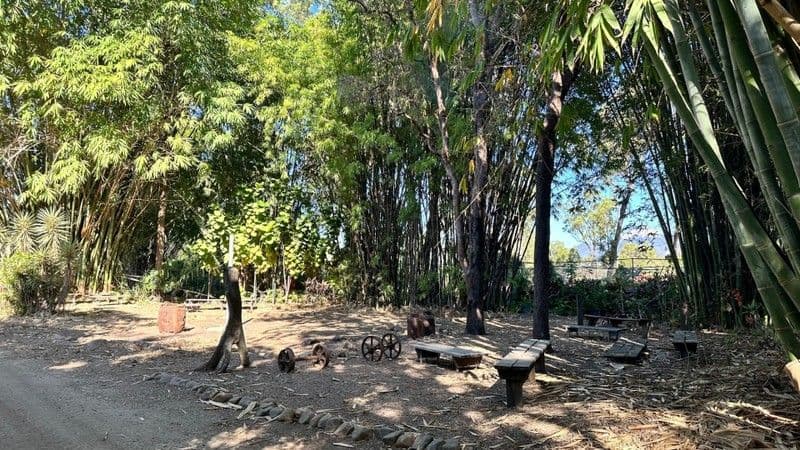 52 Granitevale Road, Alice River, Alice River - Thumbnail 8