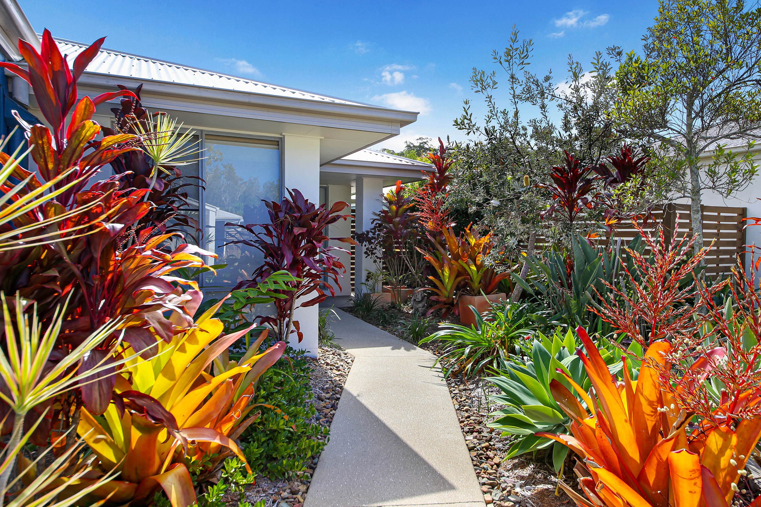 11-15 Dunes Court, Peregian Springs, Peregian Springs - Thumbnail 4