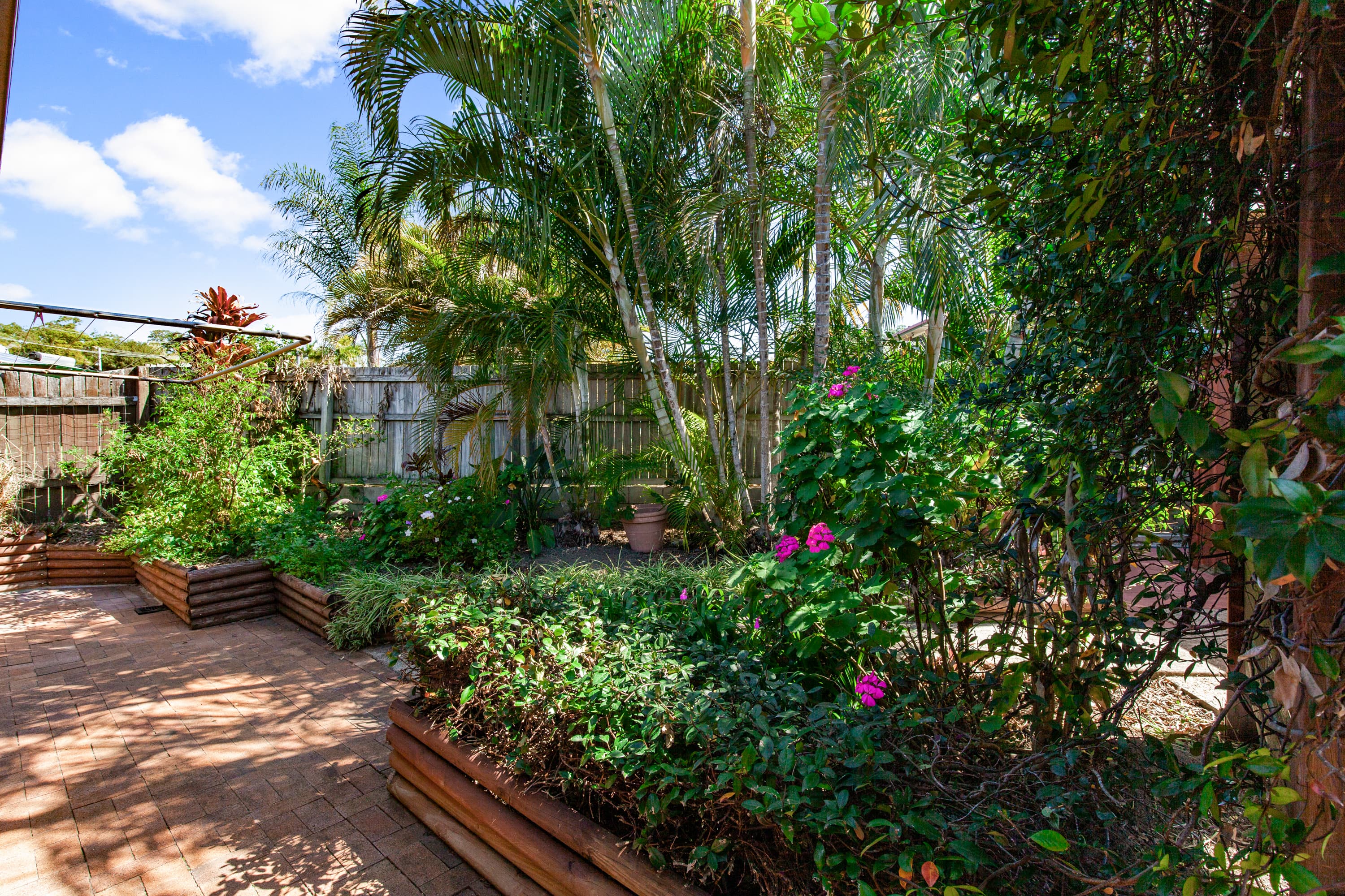 3 Pinewood Street, Capalaba, Capalaba - Thumbnail 4