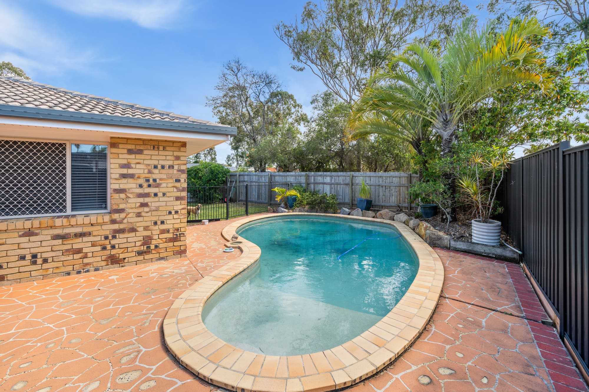 41 Gundagai Drive, Capalaba, Capalaba - Thumbnail 3