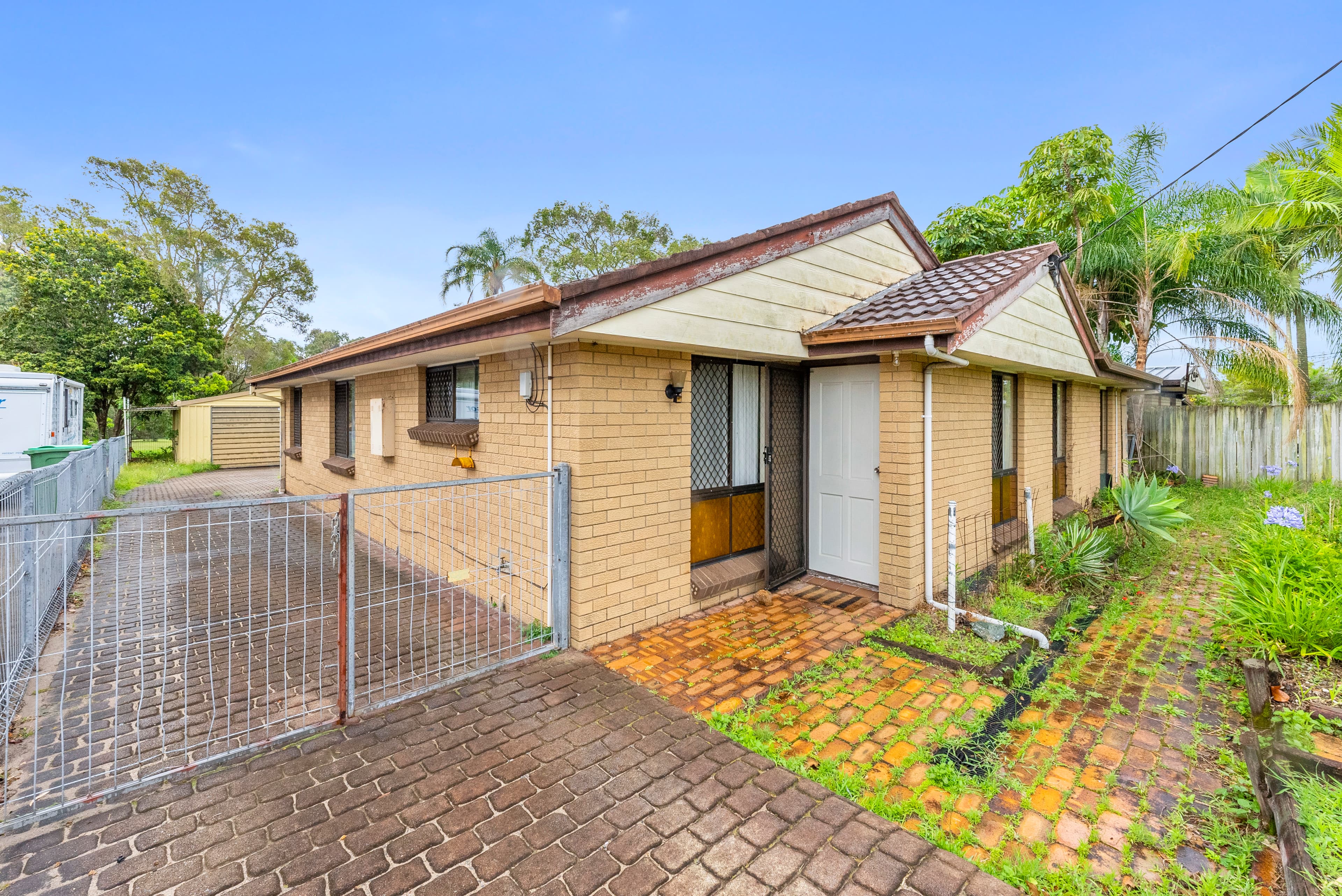 29 Abelia Street, Alexandra Hills, Alexandra Hills - Thumbnail 3