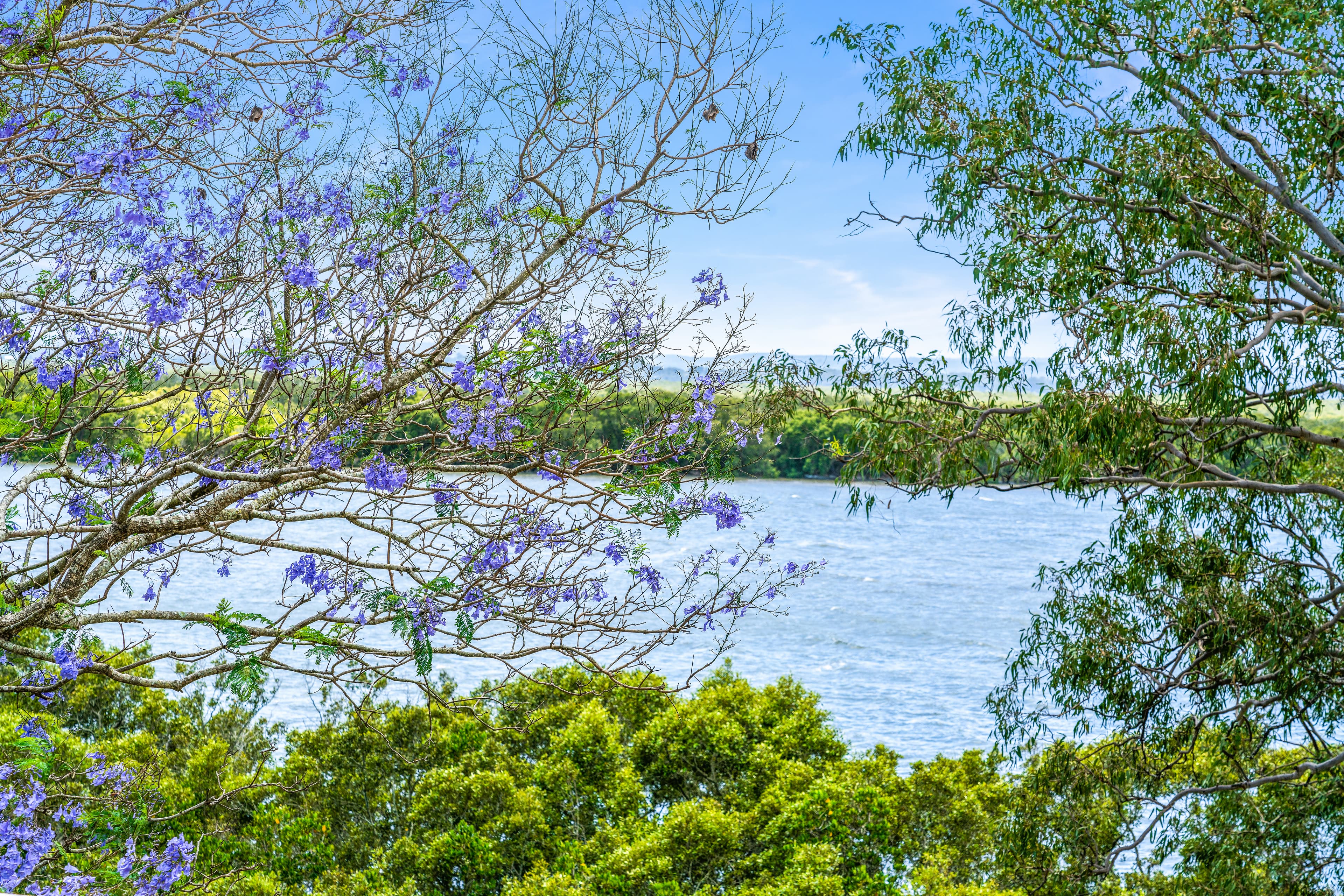 4 Vine Street, Redland Bay, Redland Bay - Image 1