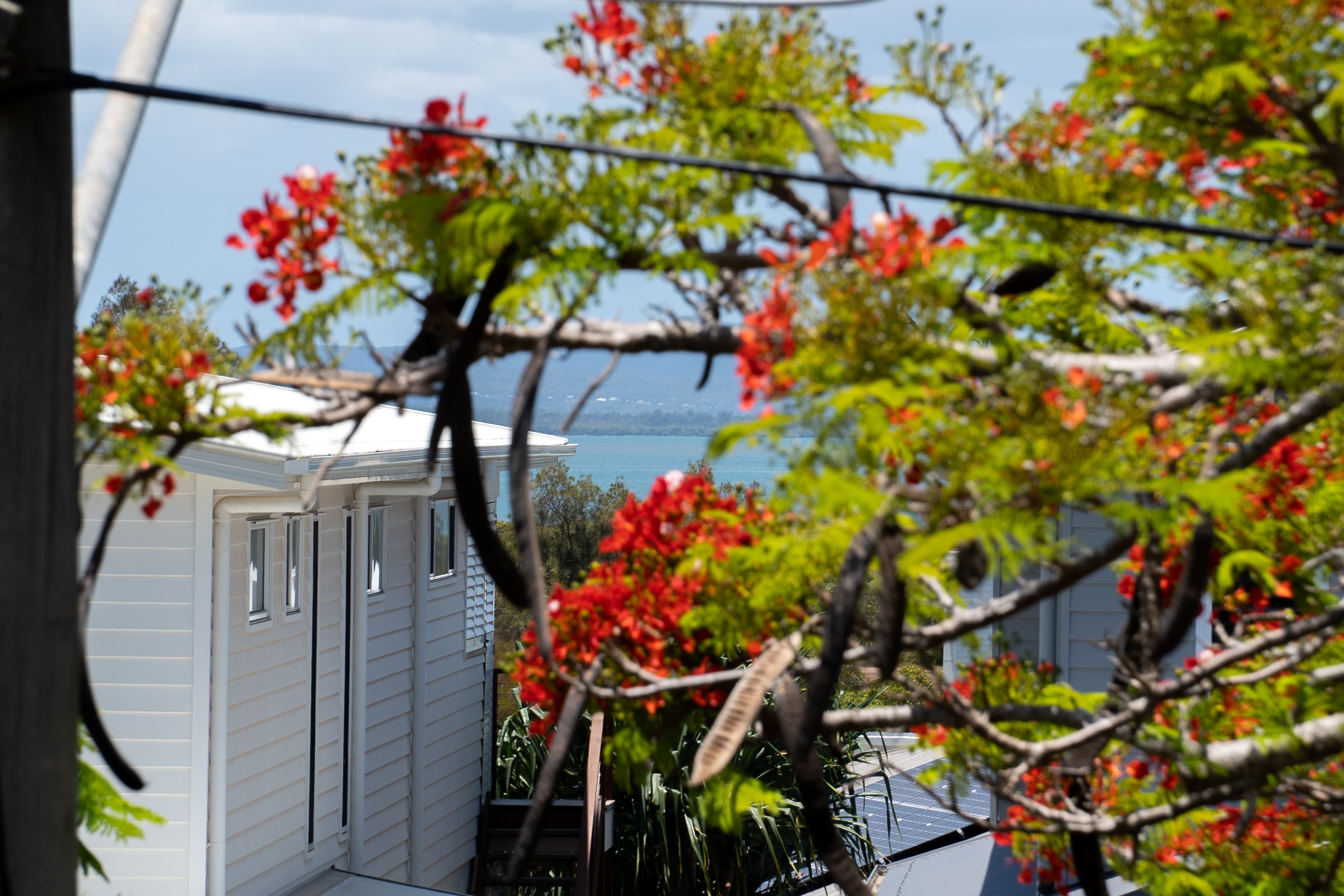 224 Wellington Street, Ormiston, Ormiston - Thumbnail 8