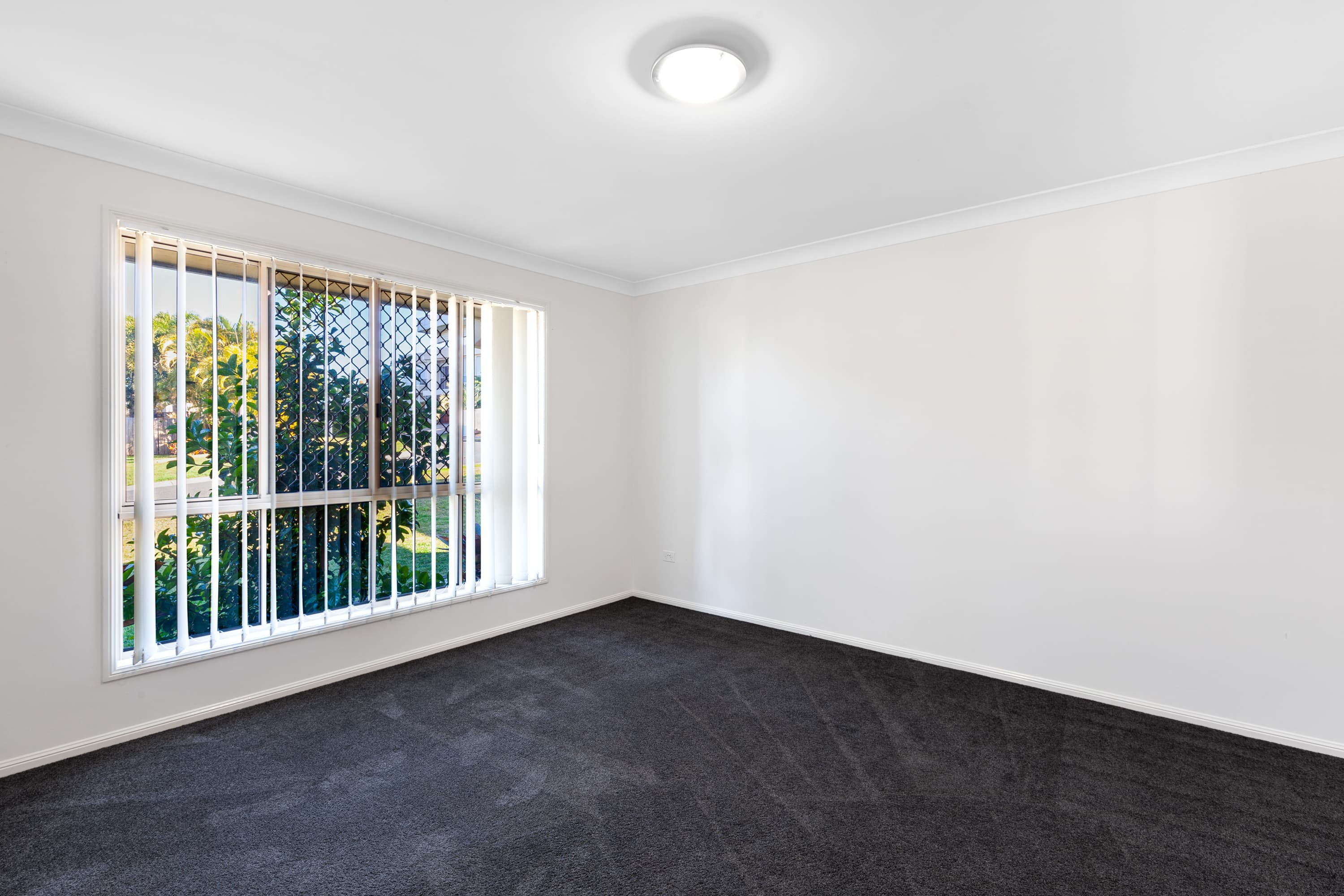 2 Dylan Street, Thornlands, Thornlands - Thumbnail 4