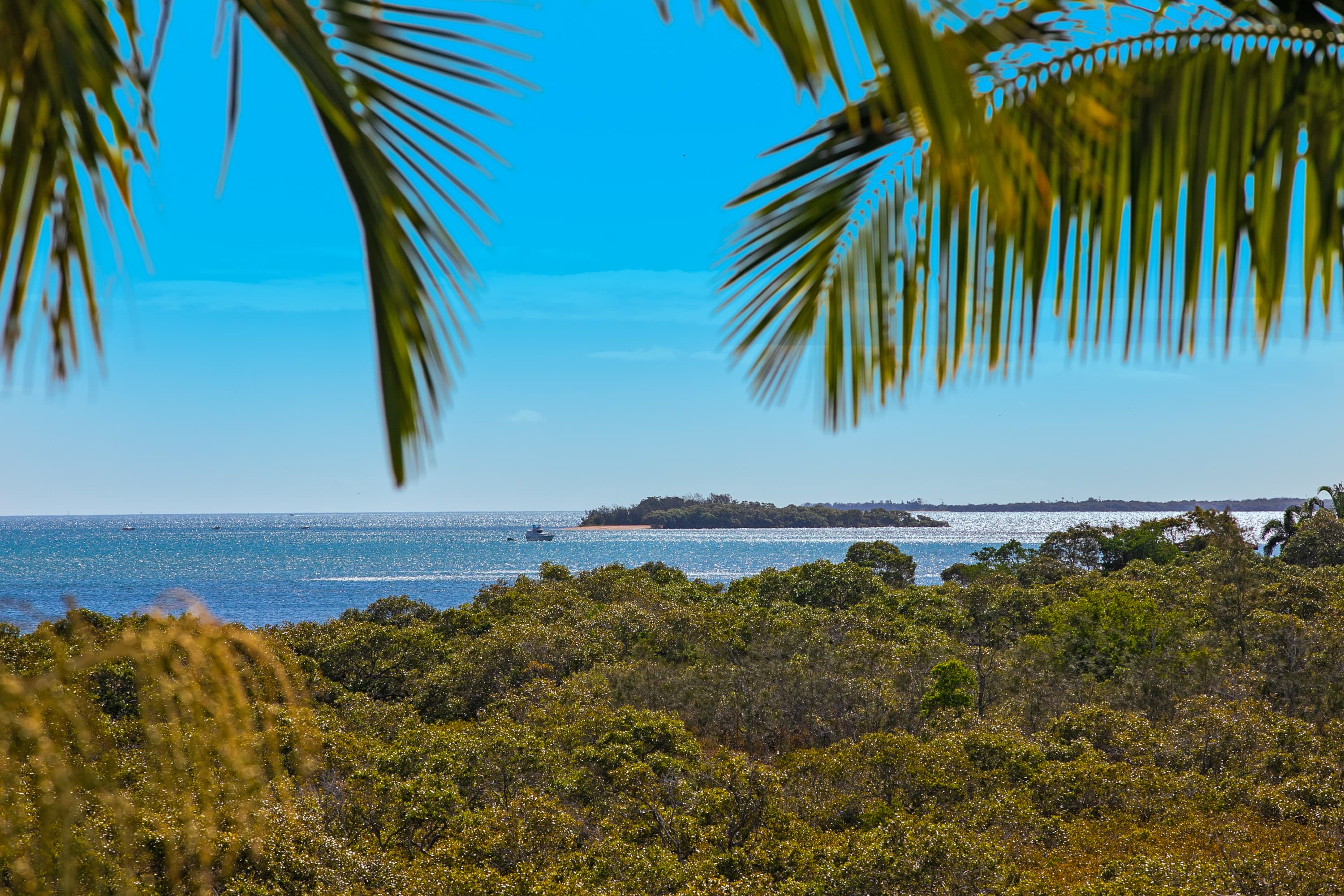 260 Main Road, Wellington Point, Wellington Point - Thumbnail 3