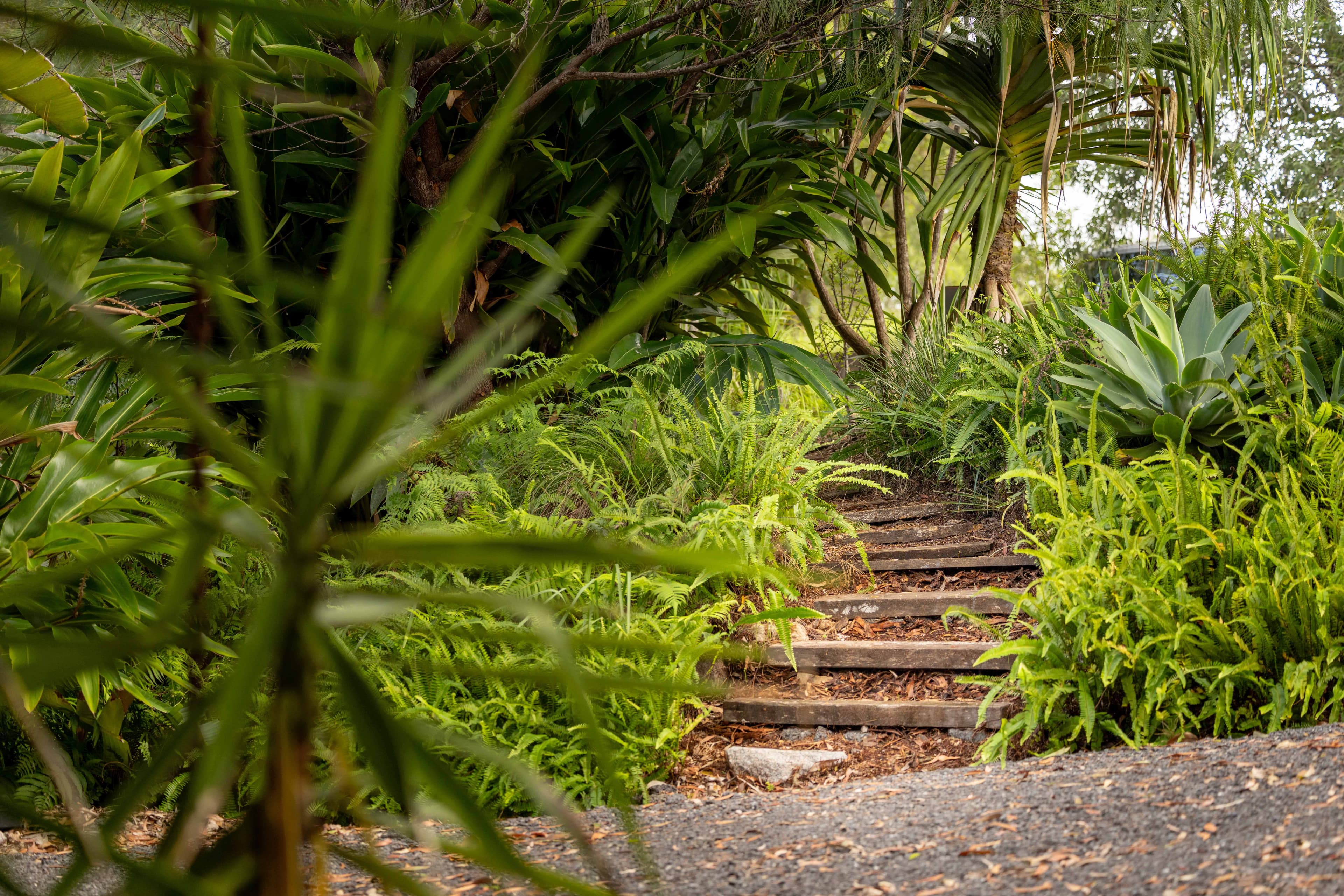 6-8 Whistler Ridge Drive, Yandina Creek, Yandina Creek - Thumbnail 3