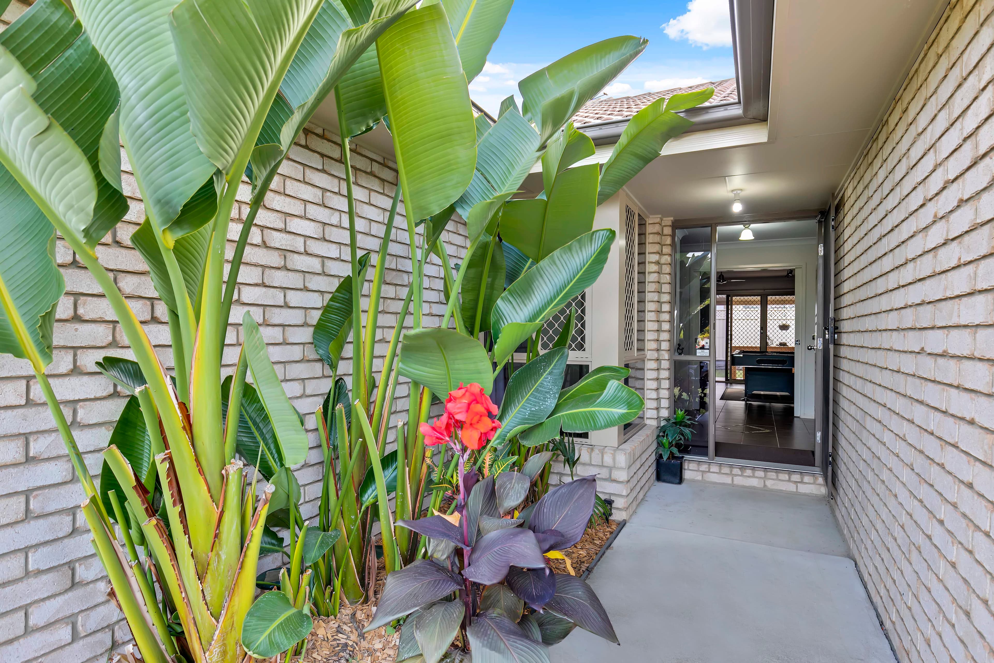 11 Baybreeze Close, Deception Bay, Deception Bay - Thumbnail 3