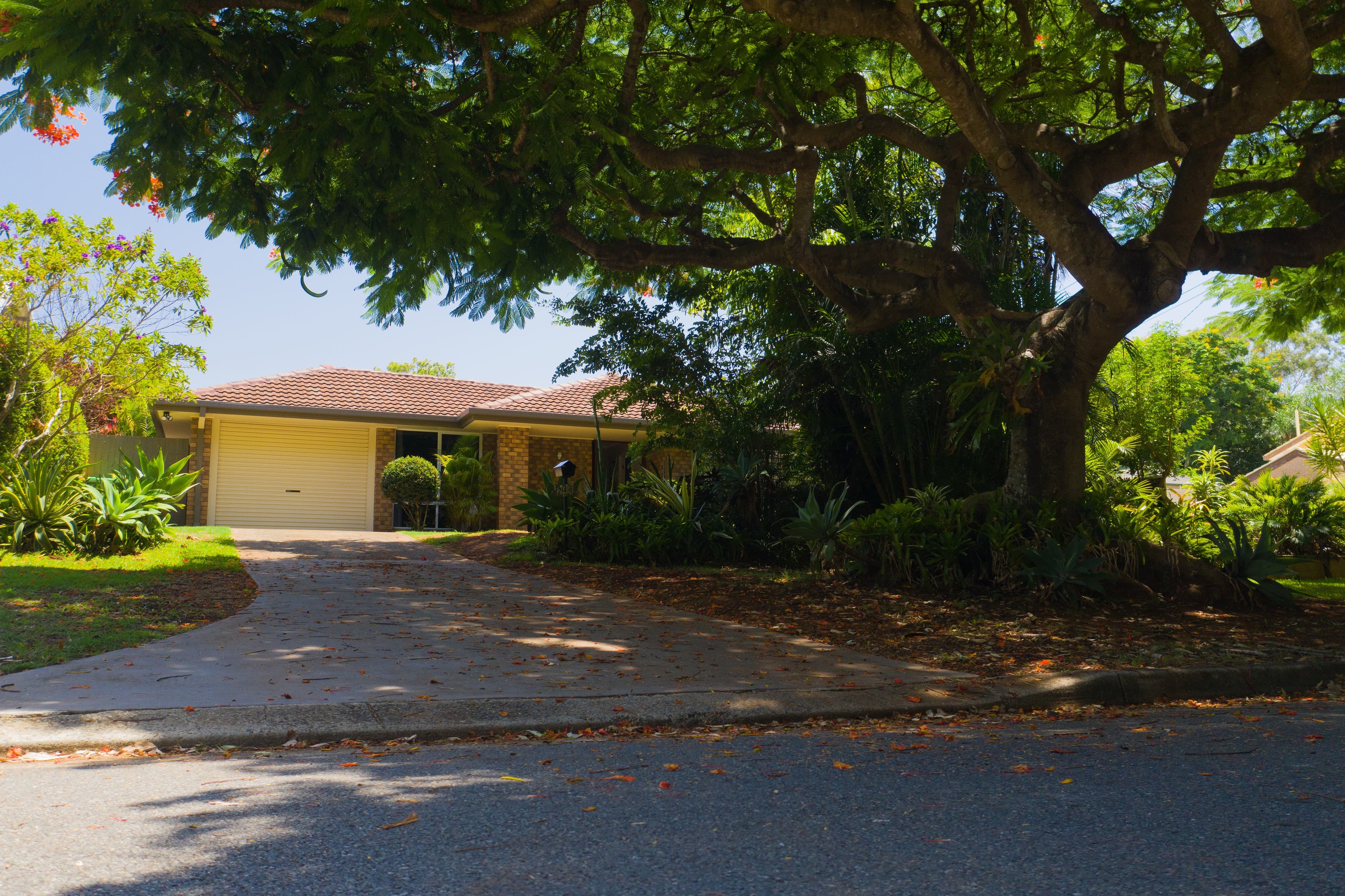 246 Wellington Street, Ormiston, Ormiston - Thumbnail 5