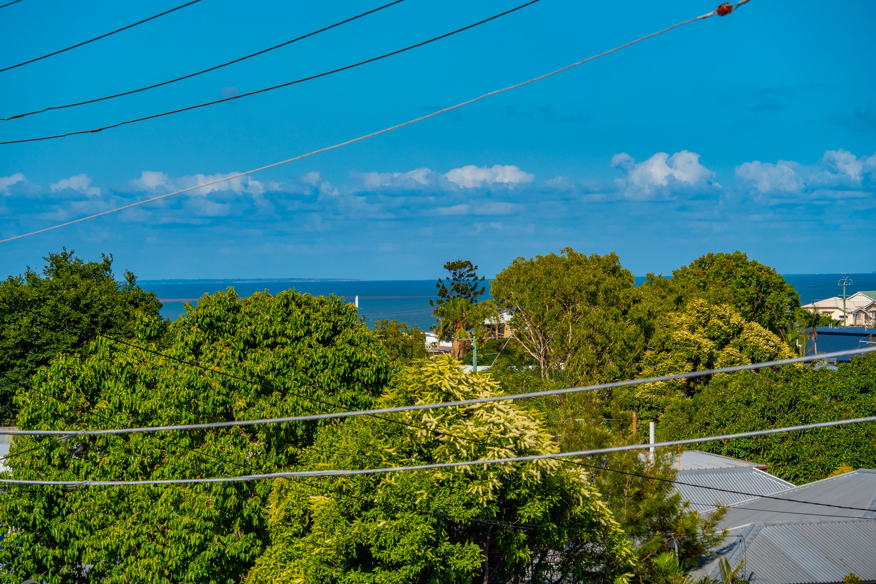 23 Manly Road, Manly, Manly - Thumbnail 5