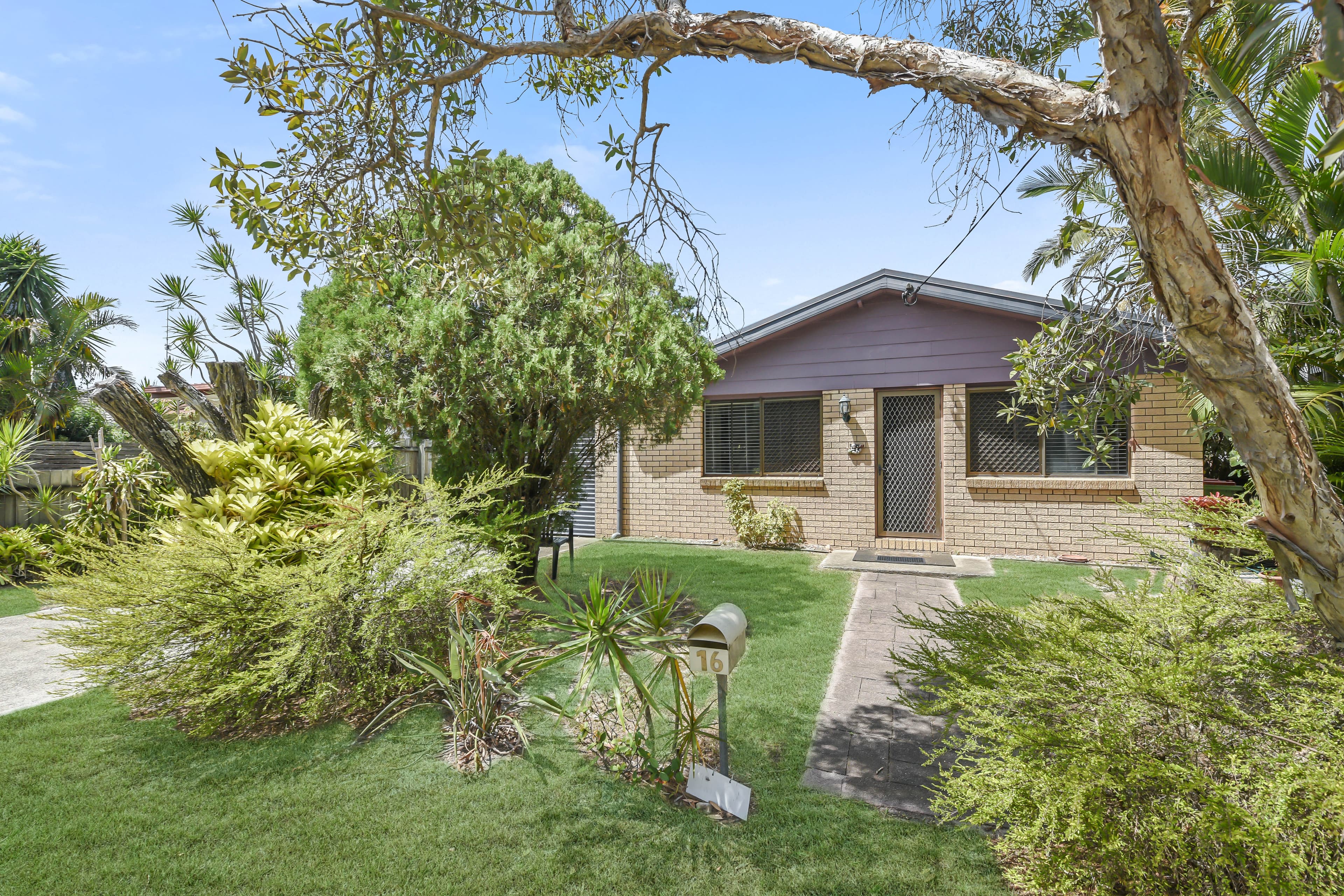16 Cinnamon Avenue, Coolum Beach, Coolum Beach - Thumbnail 7