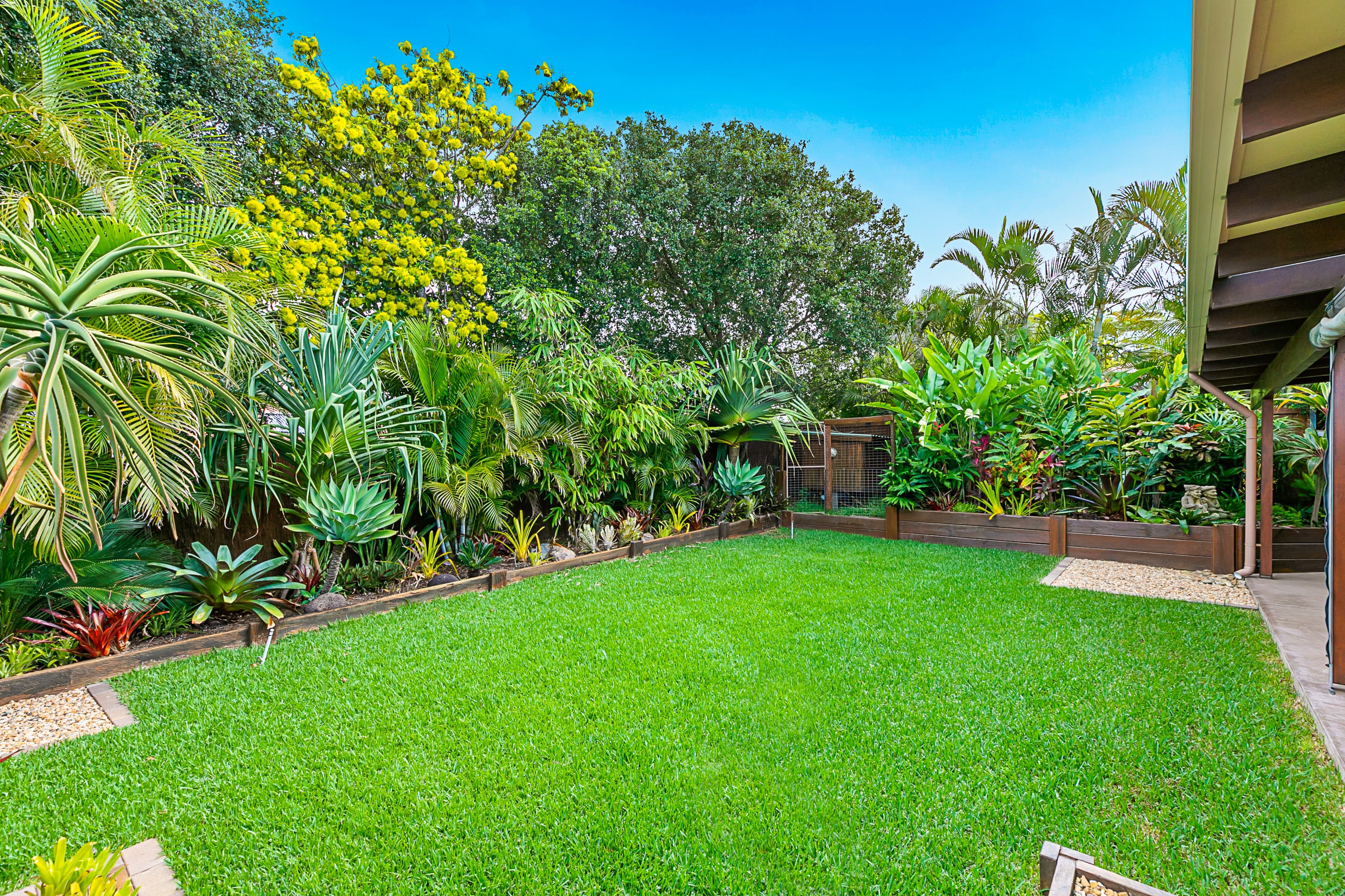 20 Trout Street, Thornlands, Thornlands - Thumbnail 6