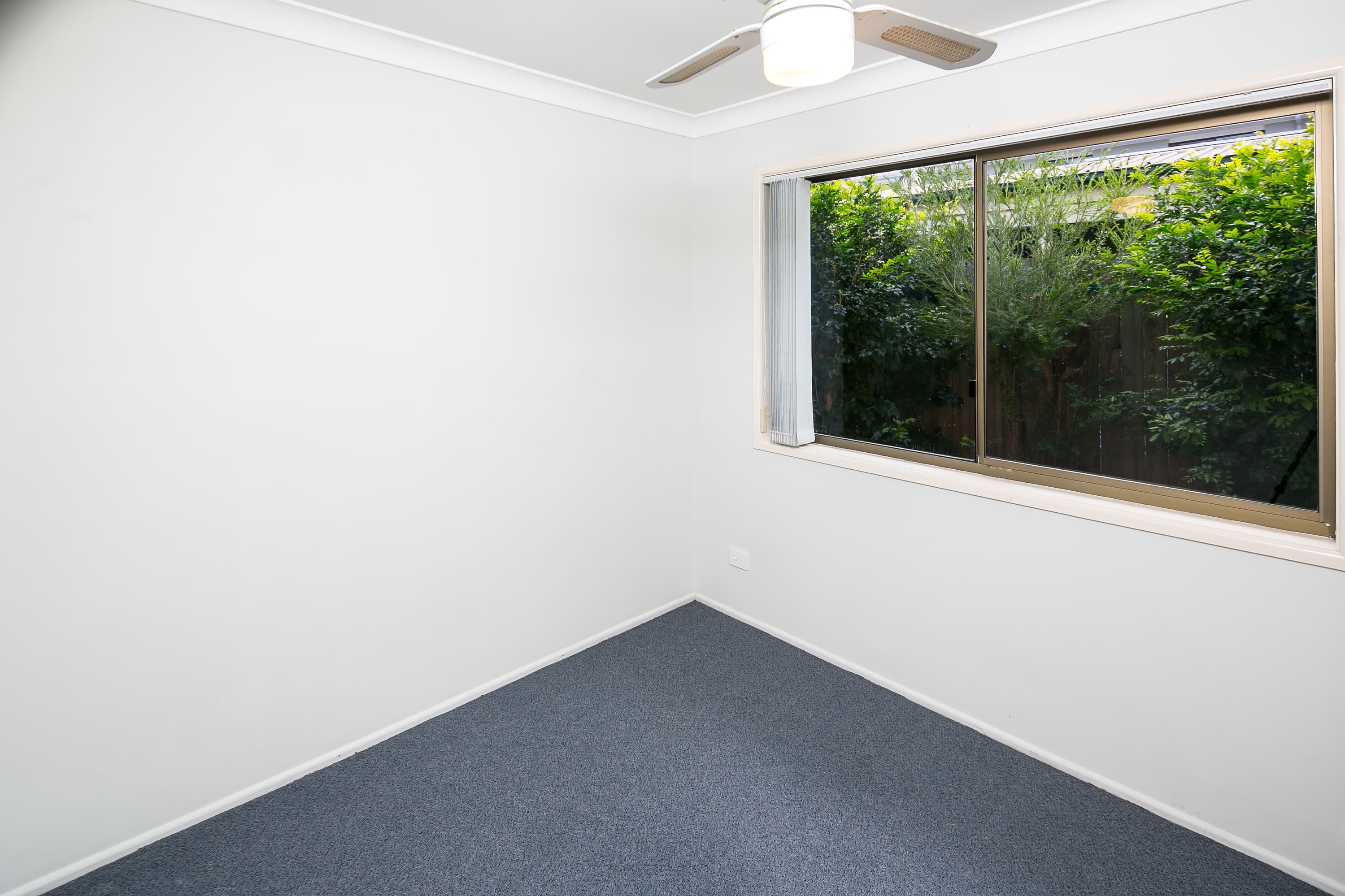 4 Roy Street, Thorneside, Thorneside - Thumbnail 8