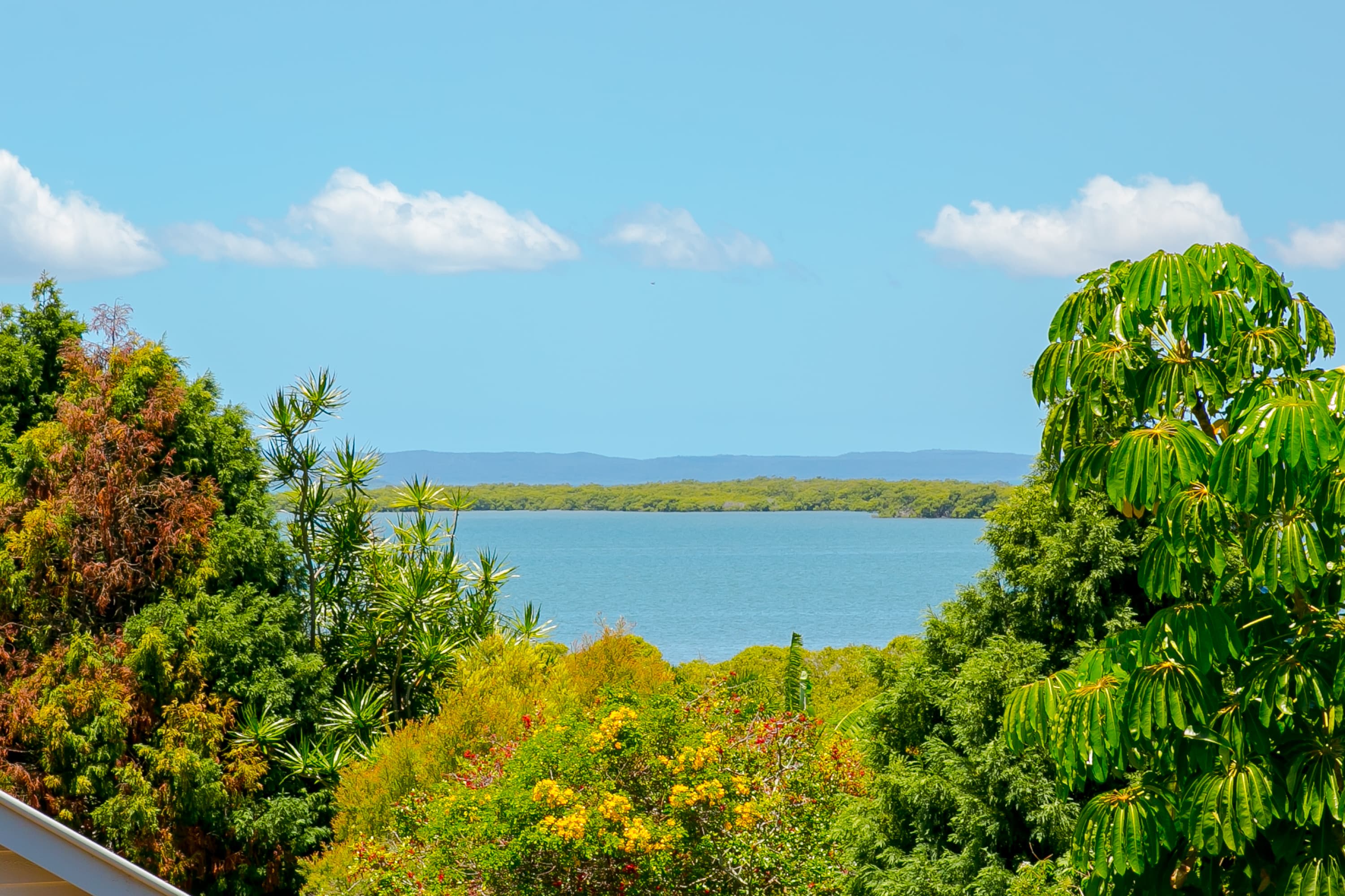 217 Main Road, Wellington Point, Wellington Point - Thumbnail 2