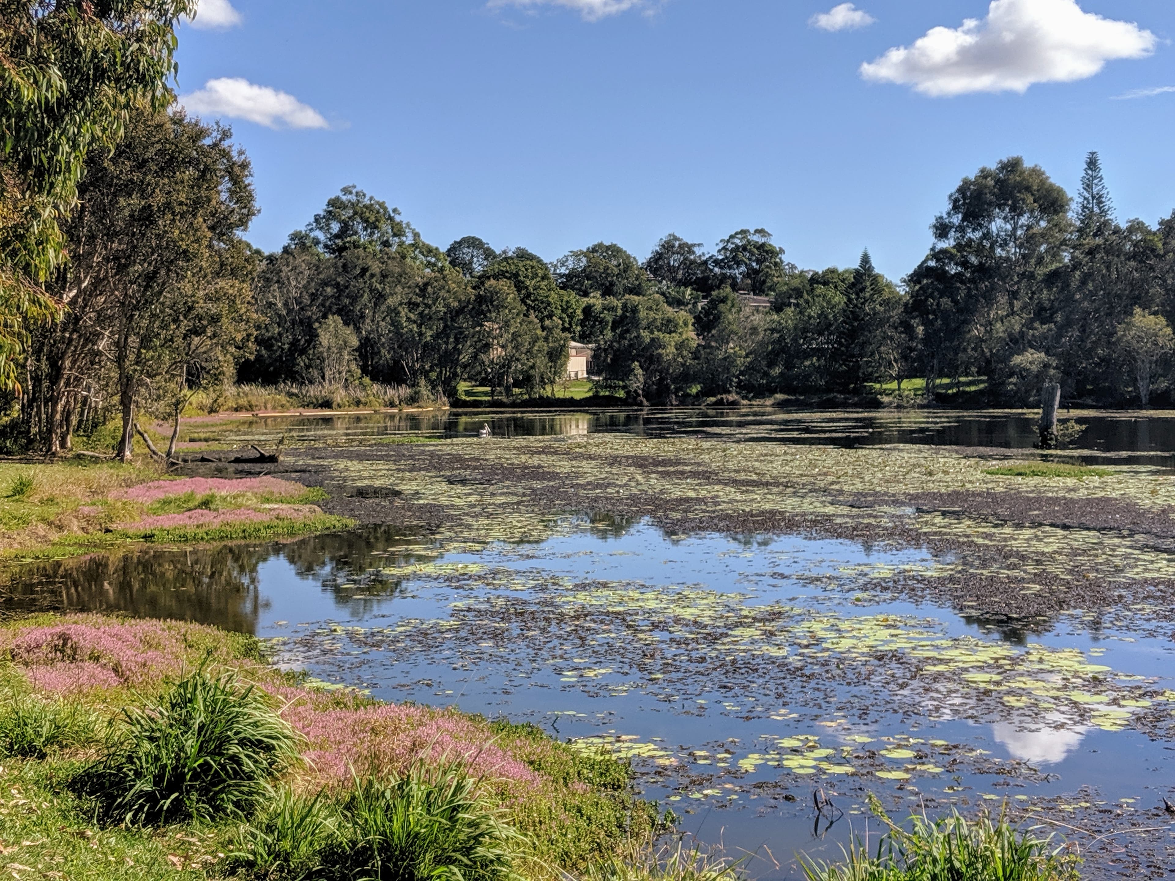 24 Panorama Drive, Thornlands, Thornlands - Thumbnail 6