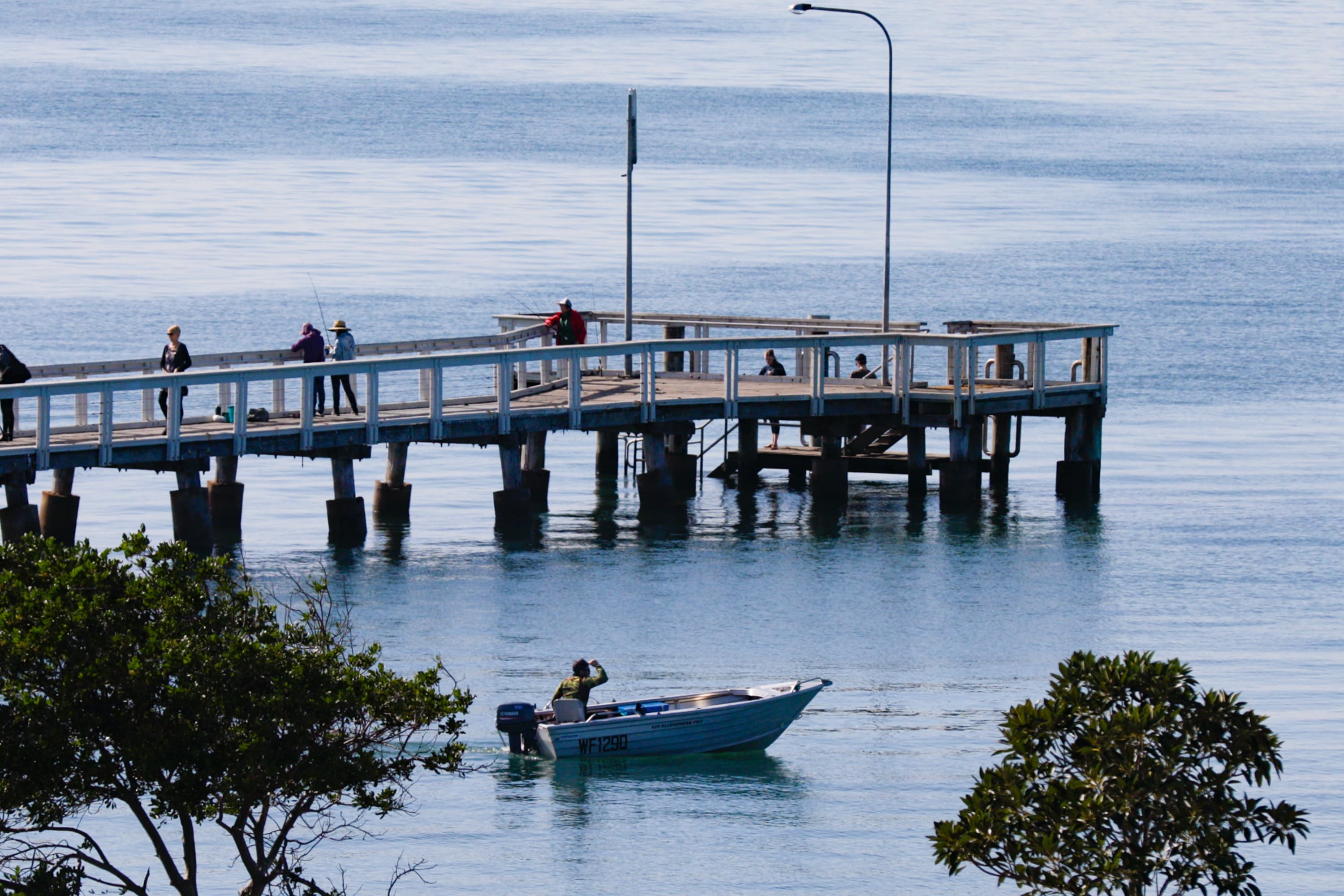 8 Jellicoe Street, Wellington Point, Wellington Point - Thumbnail 5