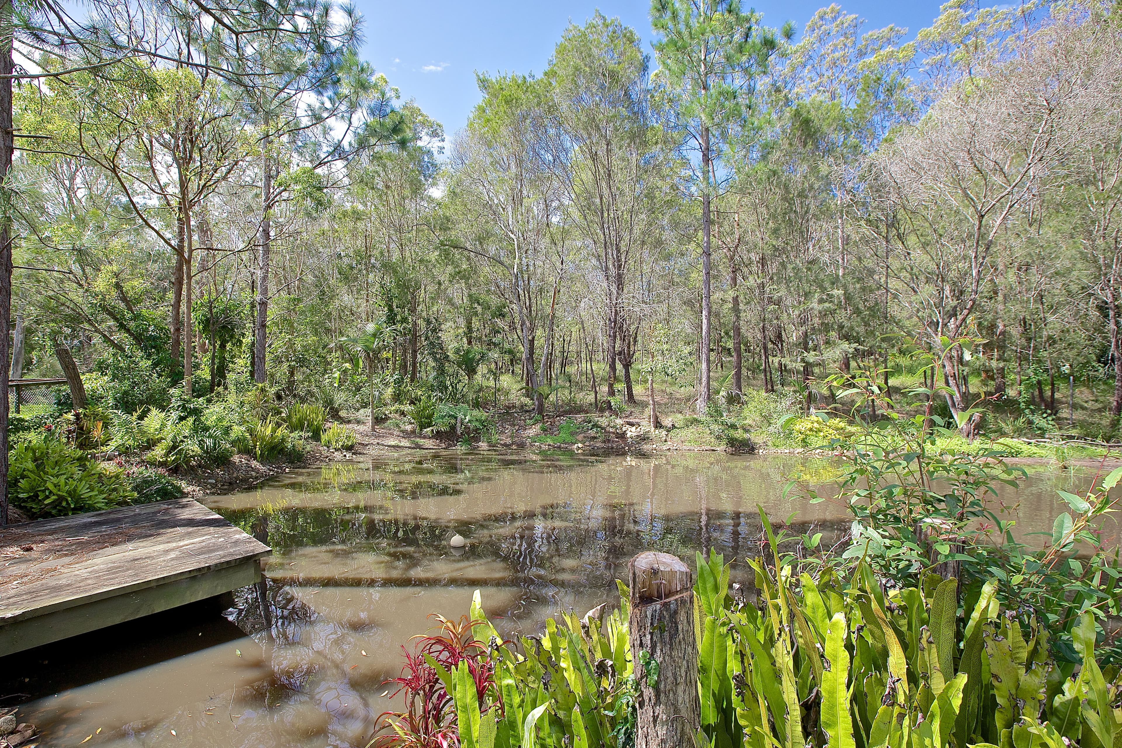 14 Sutphin Street, Capalaba, Capalaba - Thumbnail 4