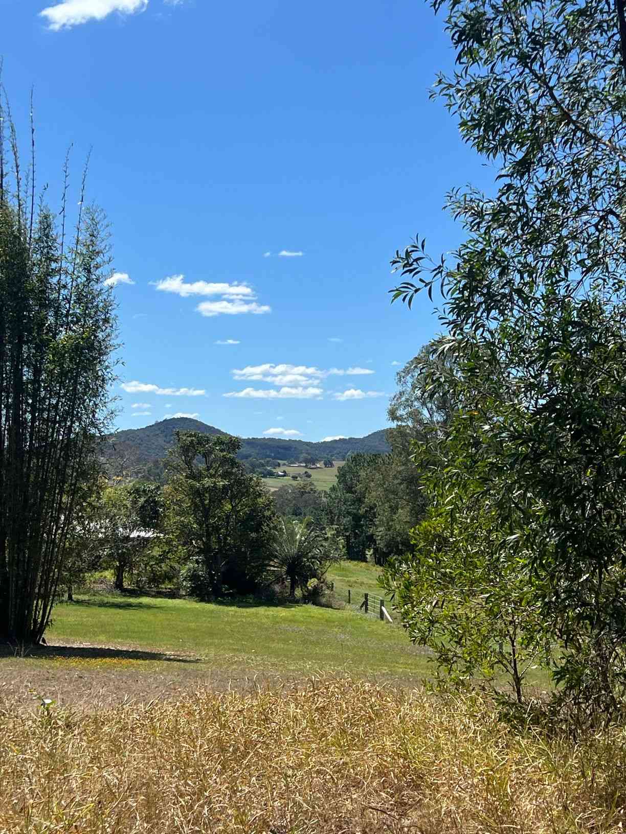 813 Noosa Road, Mothar Mountain, QLD 4570, Mothar Mountain - Image 1