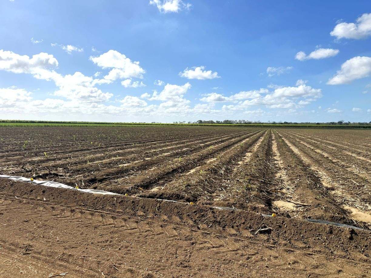 Lot 28 Black Road, Upper Haughton QLD 4809, Upper Haughton - Thumbnail 5