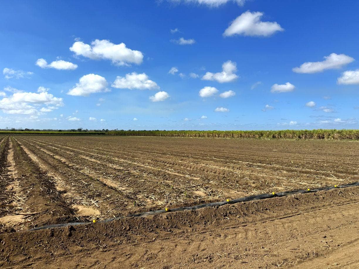 Lot 28 Black Road, Upper Haughton QLD 4809, Upper Haughton - Thumbnail 4