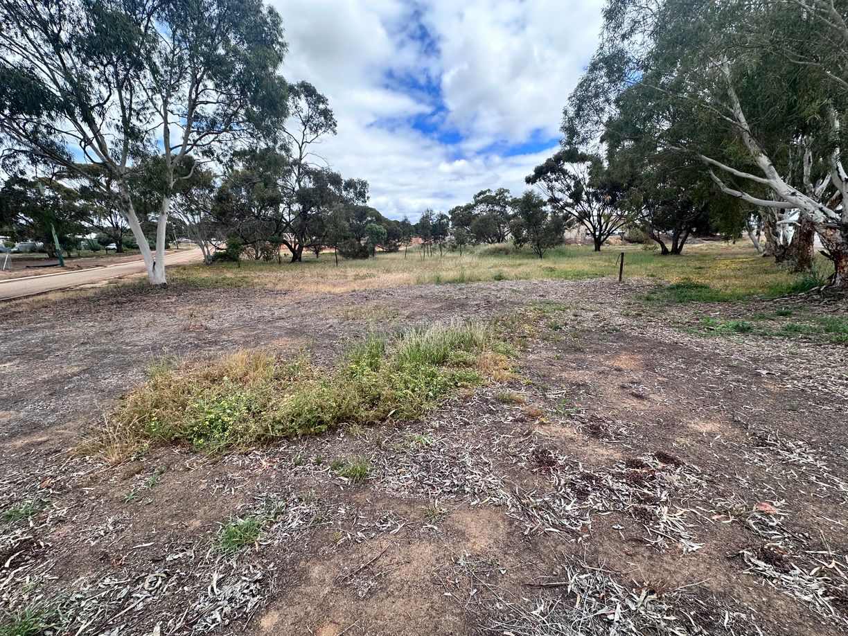 4 Quadrant Street, Pingelly, WA 6308, Pingelly - Image 1
