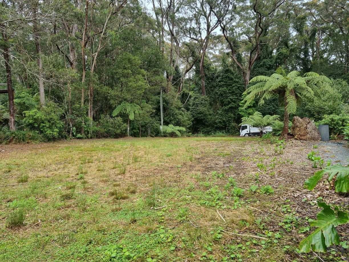 13 Banksia Road, Springbrook, QLD 4213, Springbrook - Thumbnail 2